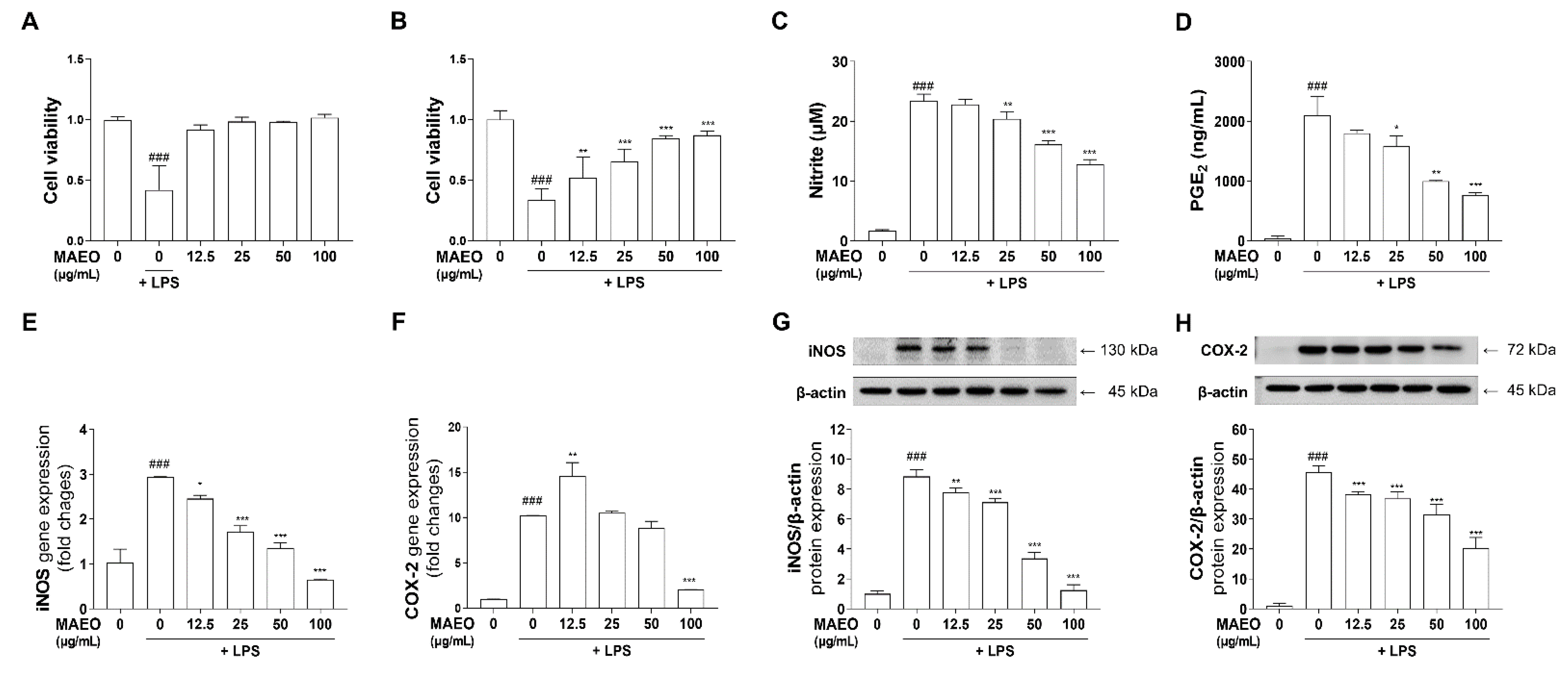 Antioxidants 10 01941 g003