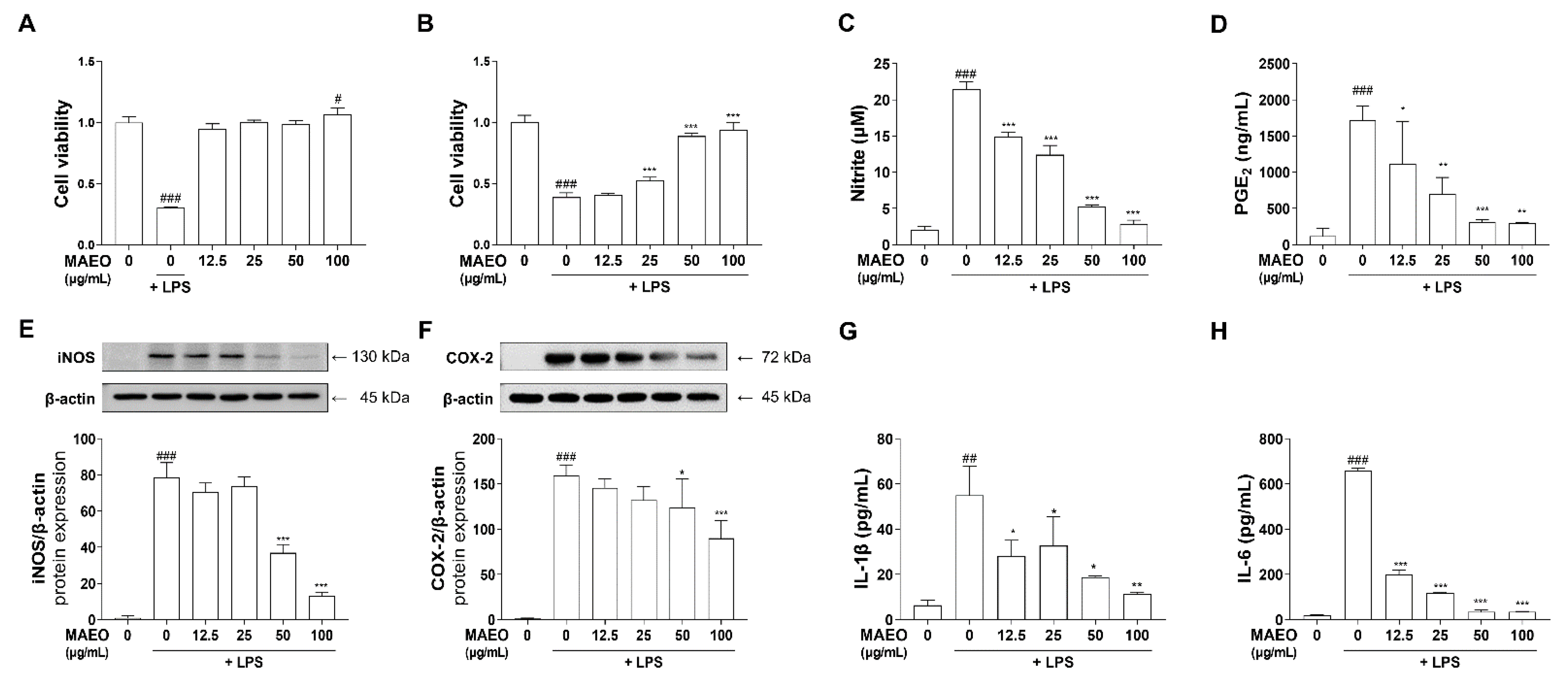 Antioxidants 10 01941 g006