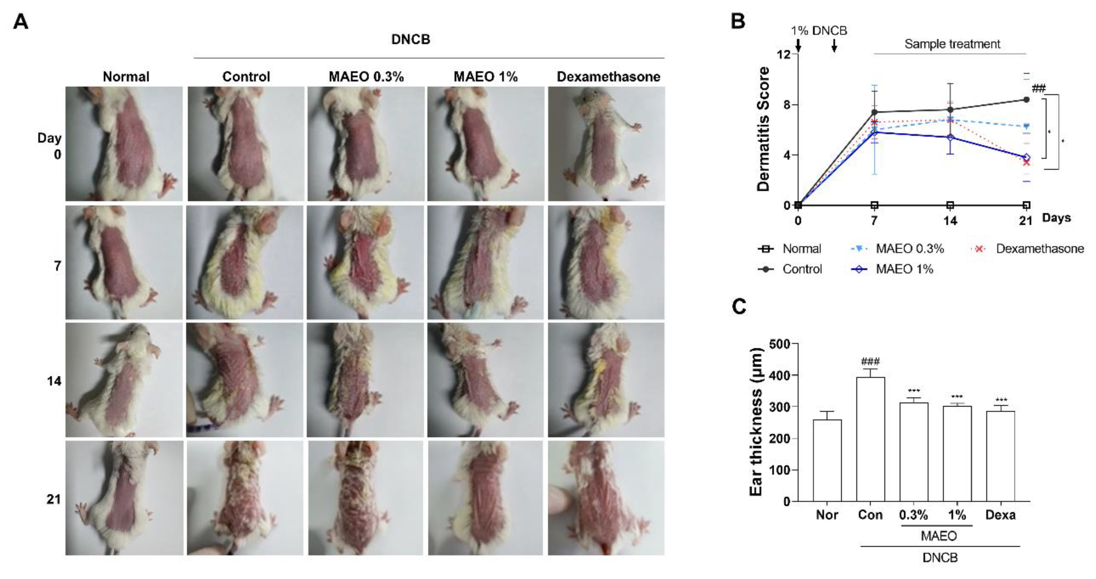 Antioxidants 10 01941 g007