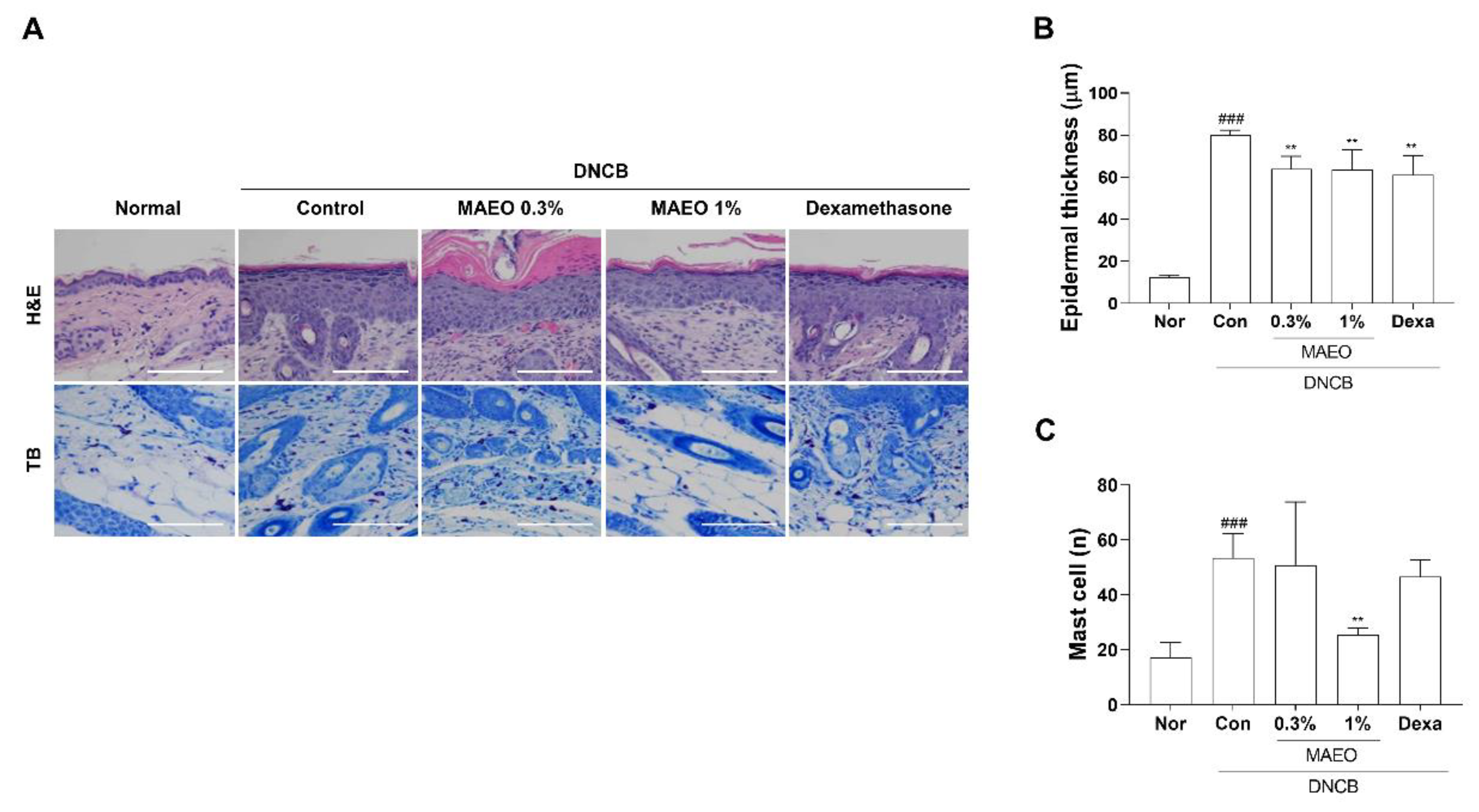 Antioxidants 10 01941 g008