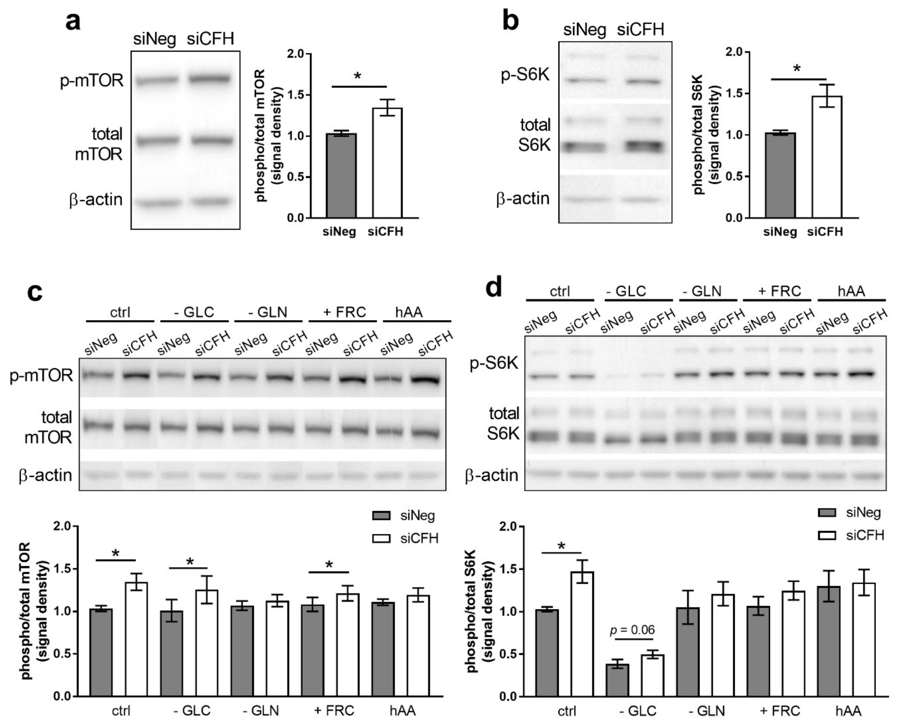 Antioxidants 10 01944 g001