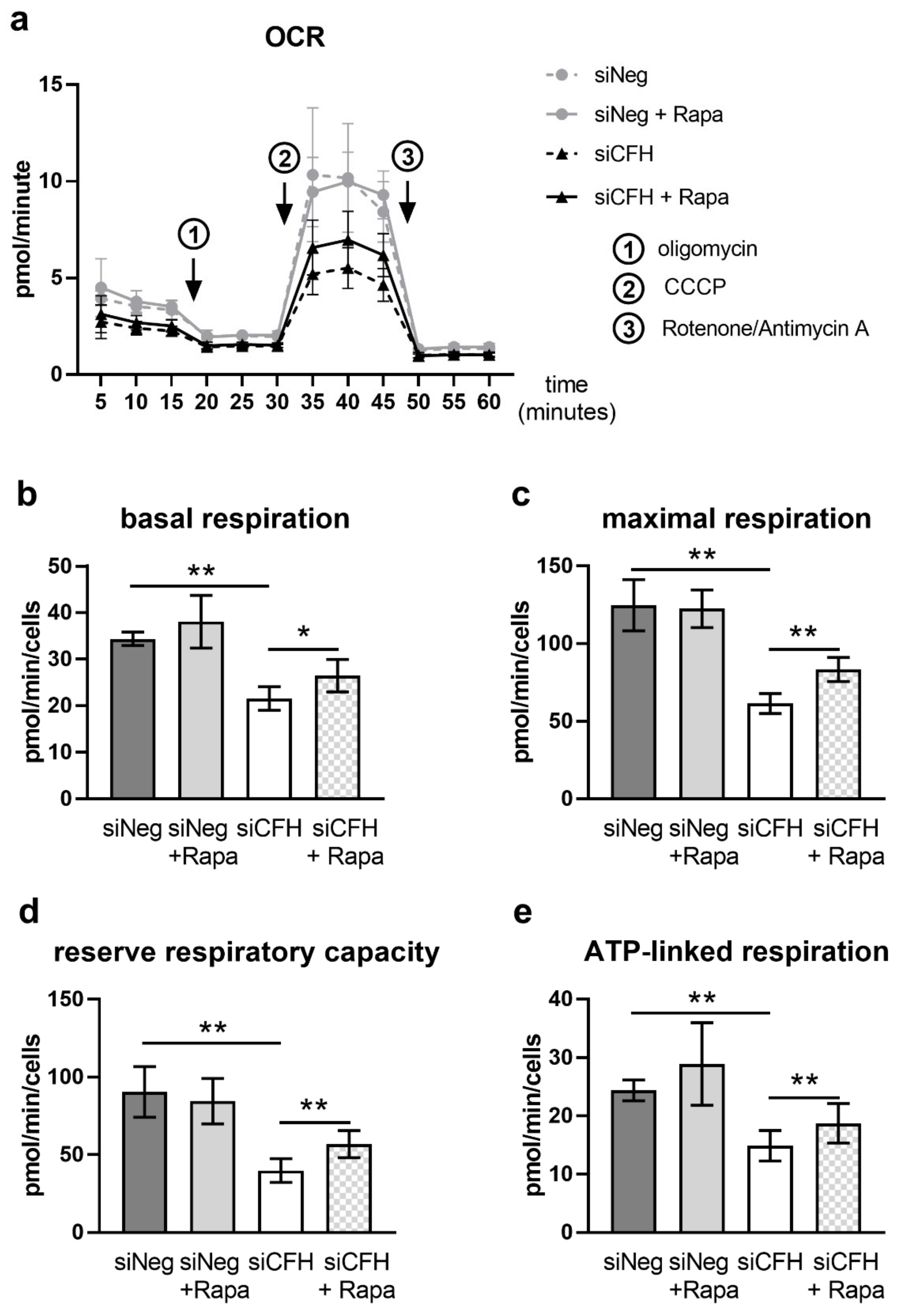 Antioxidants 10 01944 g002
