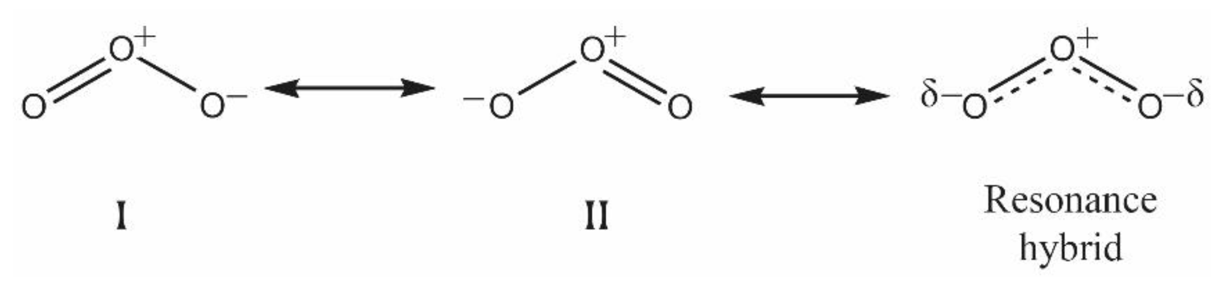 Antioxidants 10 01946 g001