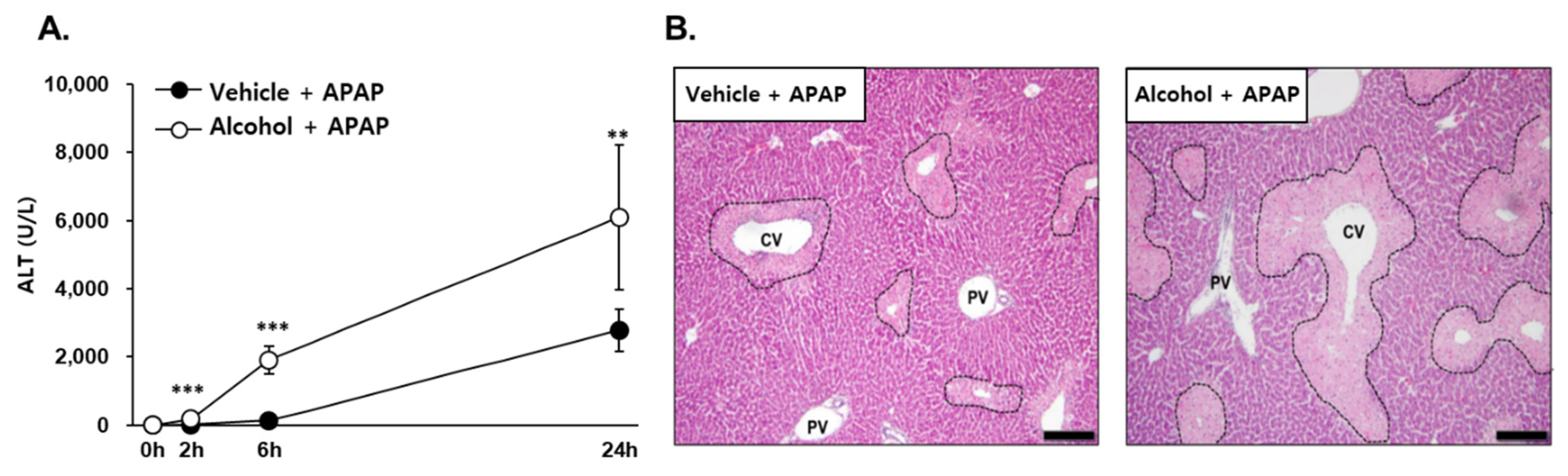 Antioxidants 10 01949 g001