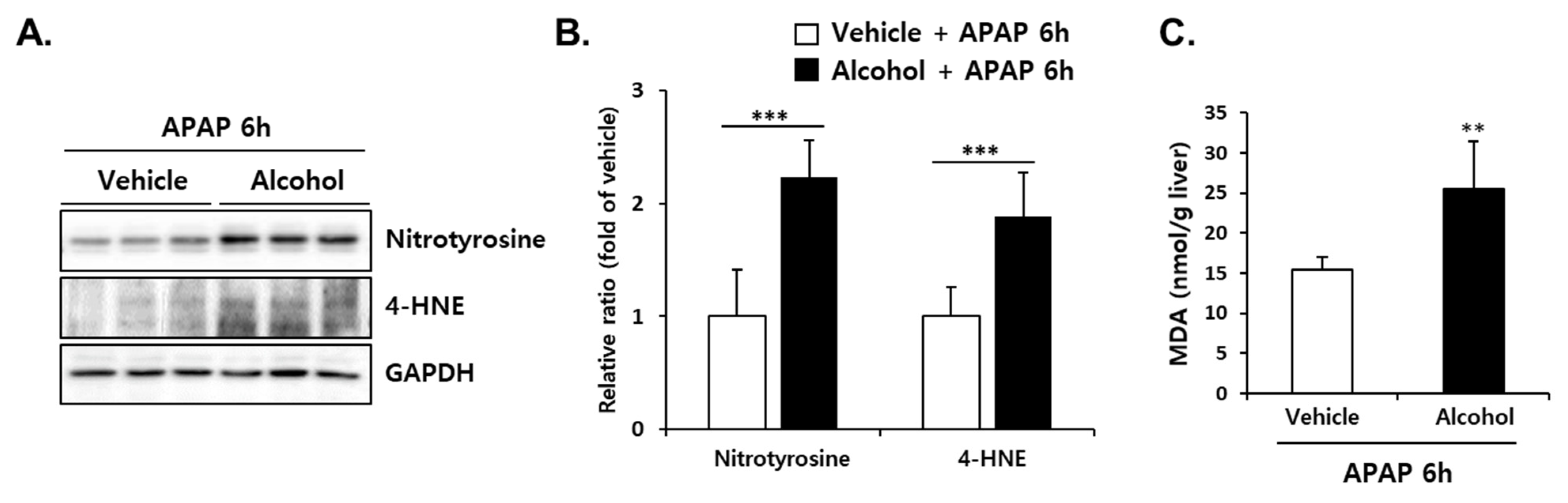 Antioxidants 10 01949 g006