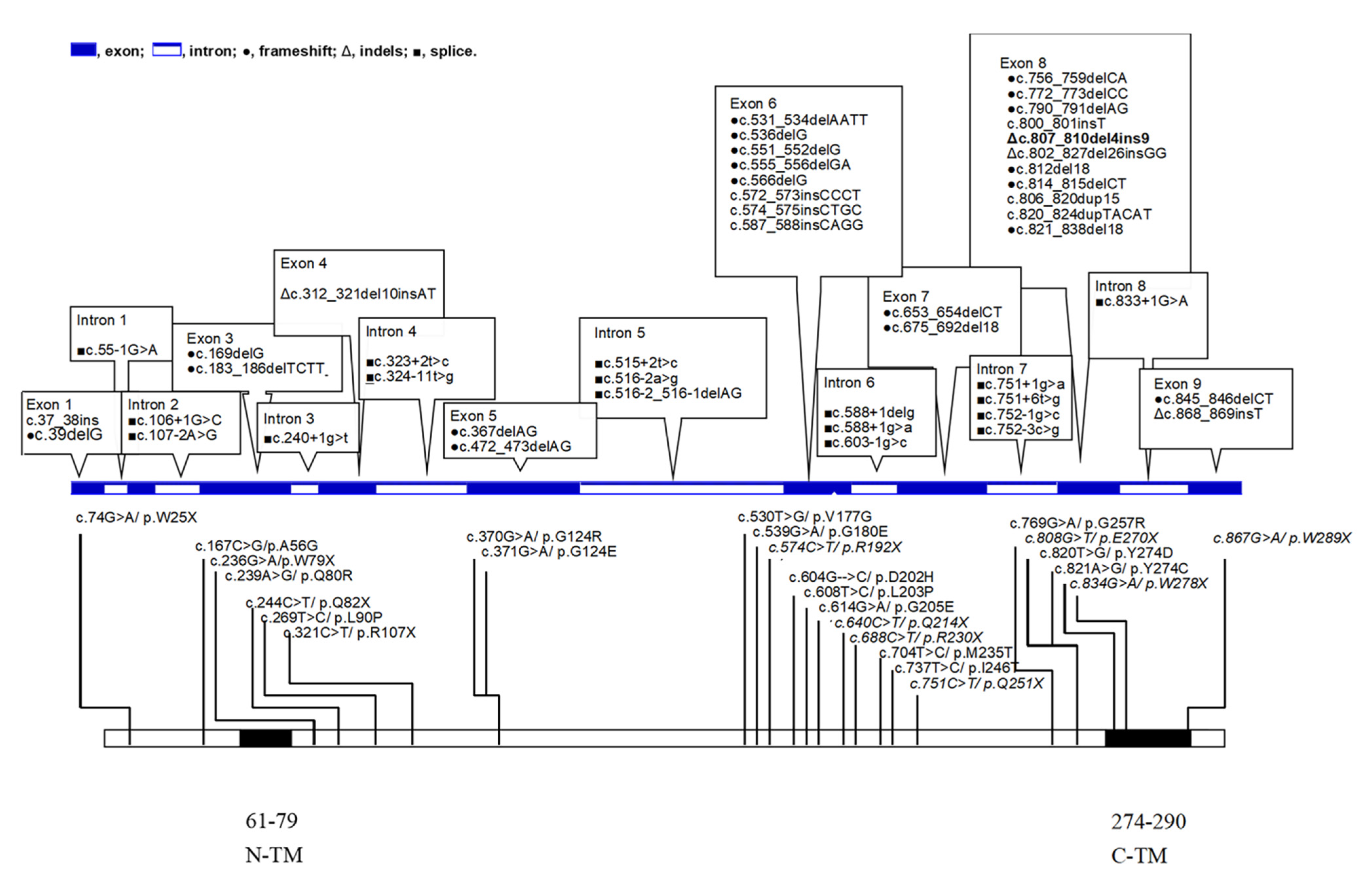 Antioxidants 10 01950 g001