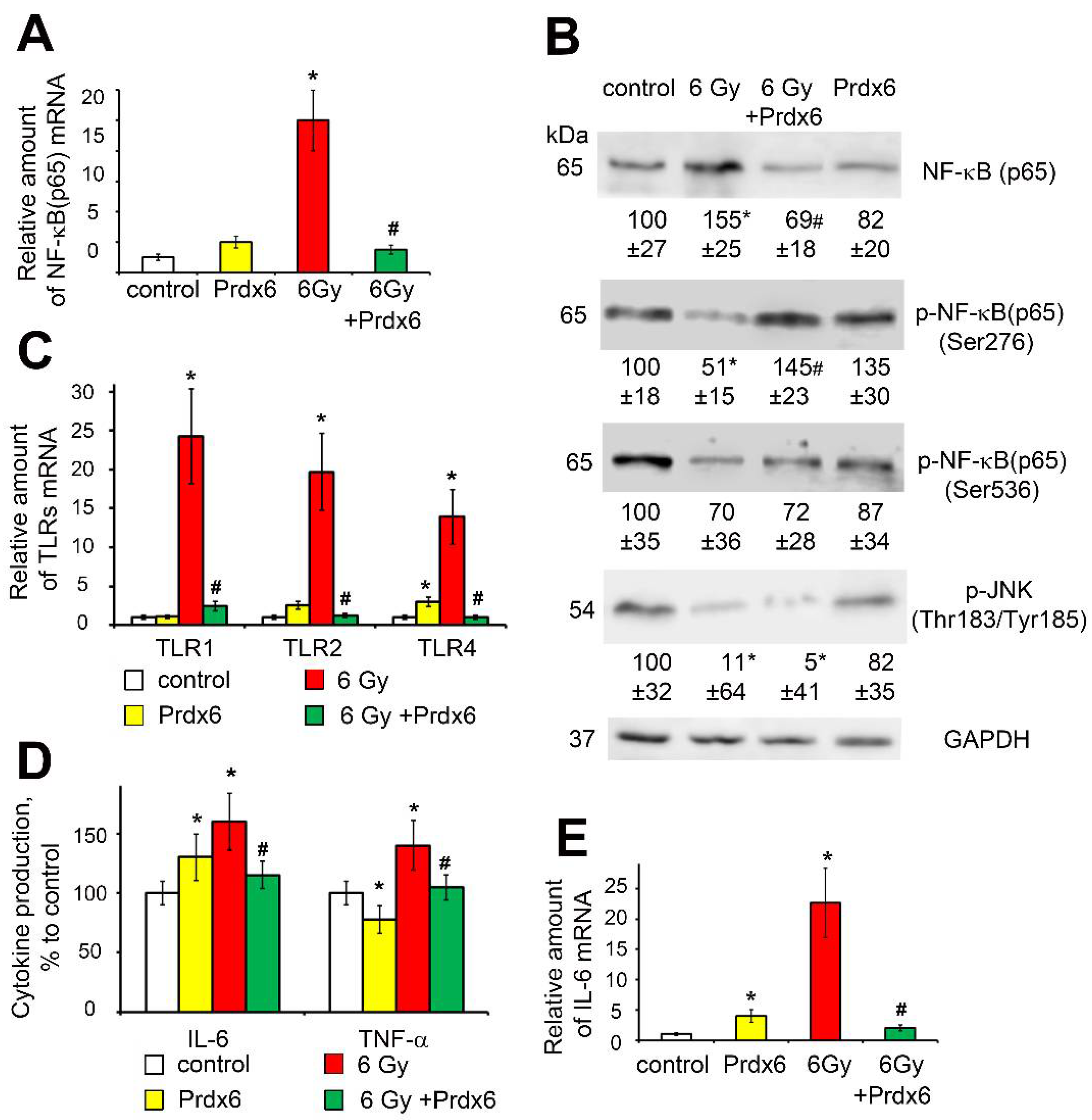 Antioxidants 10 01951 g004