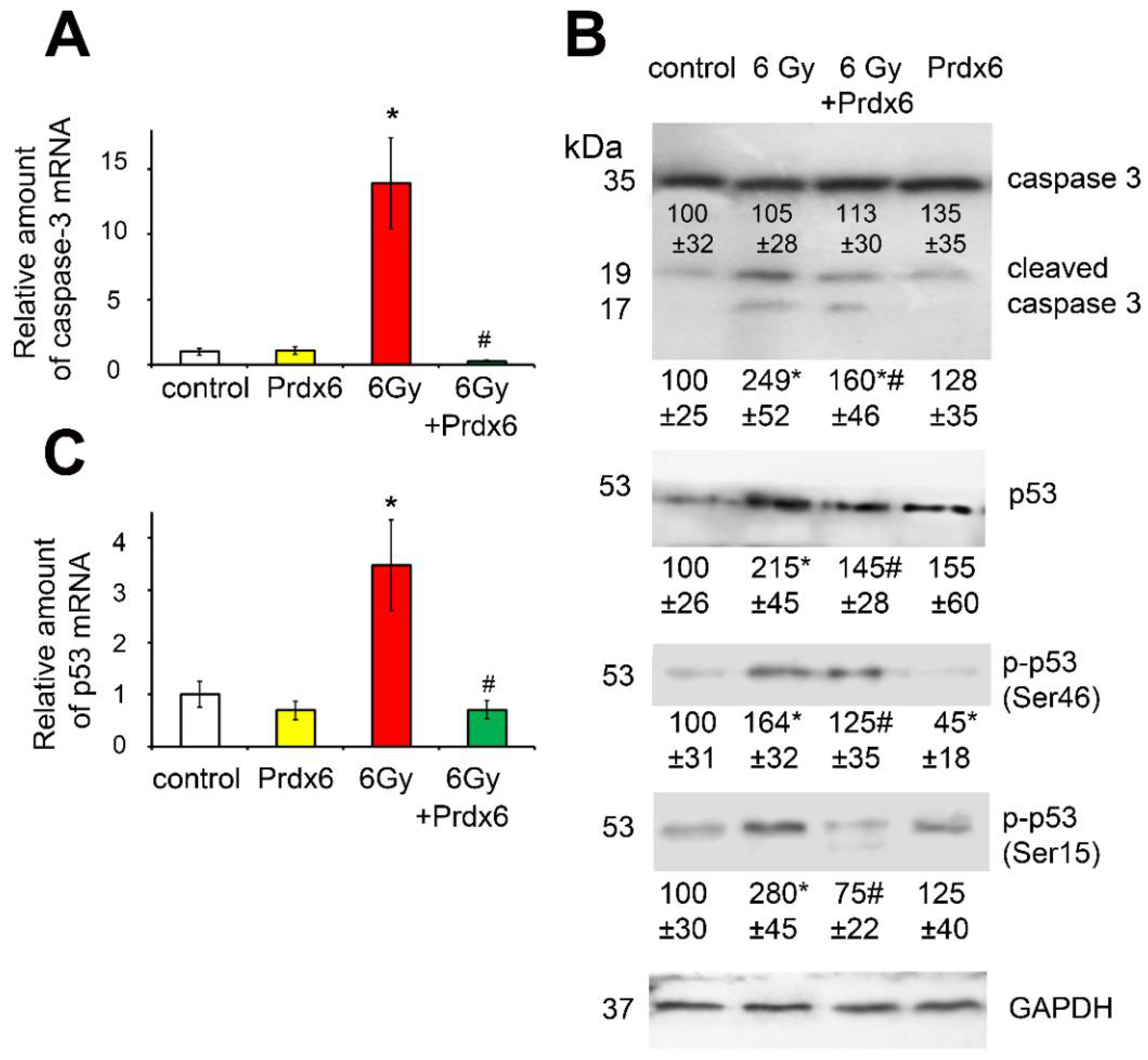 Antioxidants 10 01951 g005