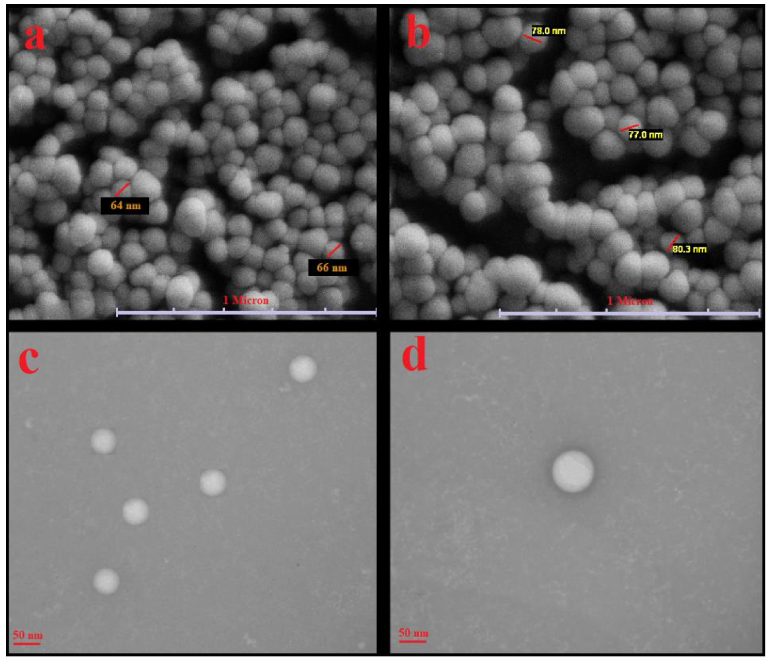 Antioxidants 10 01953 g002