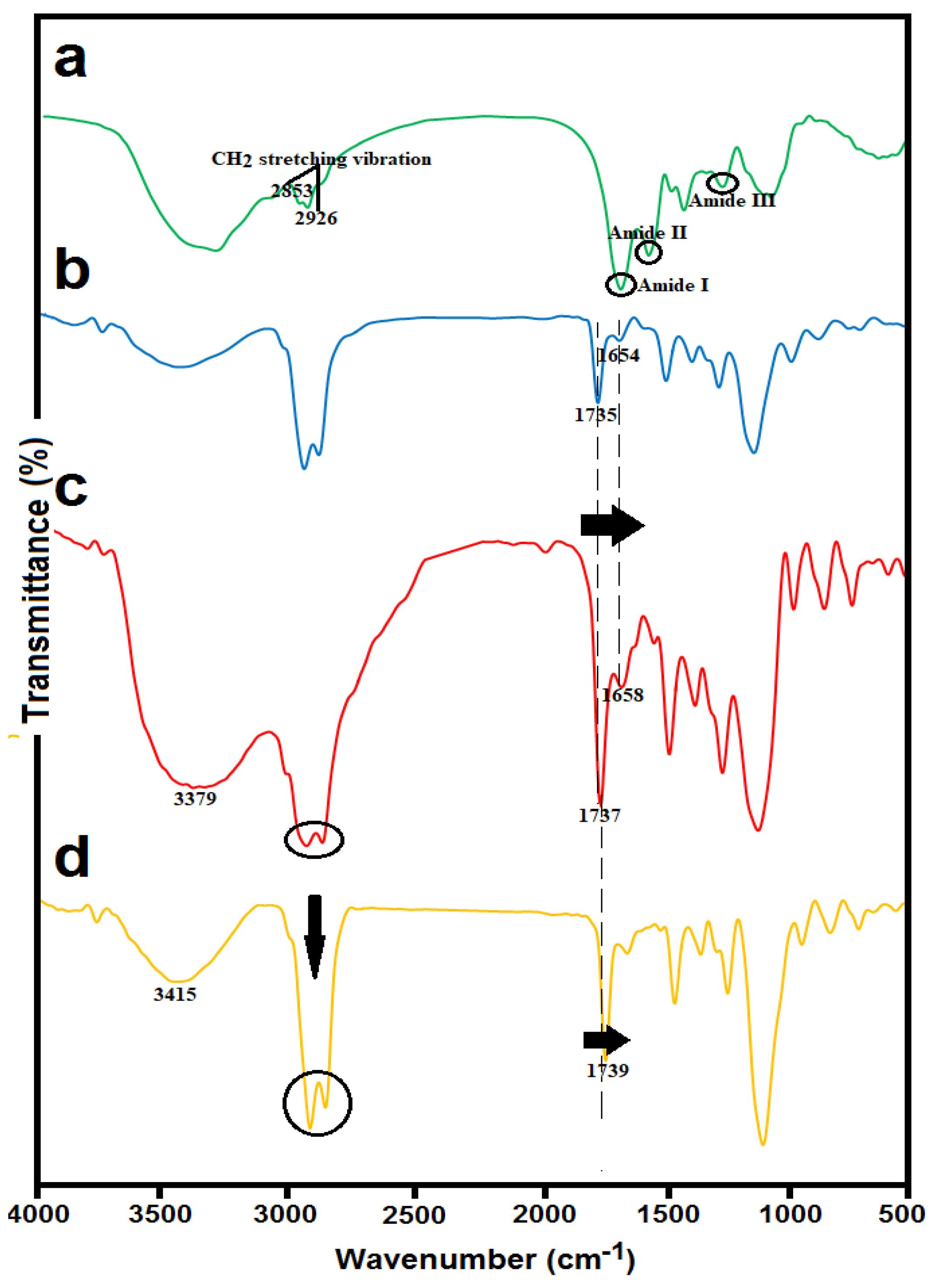 Antioxidants 10 01953 g003