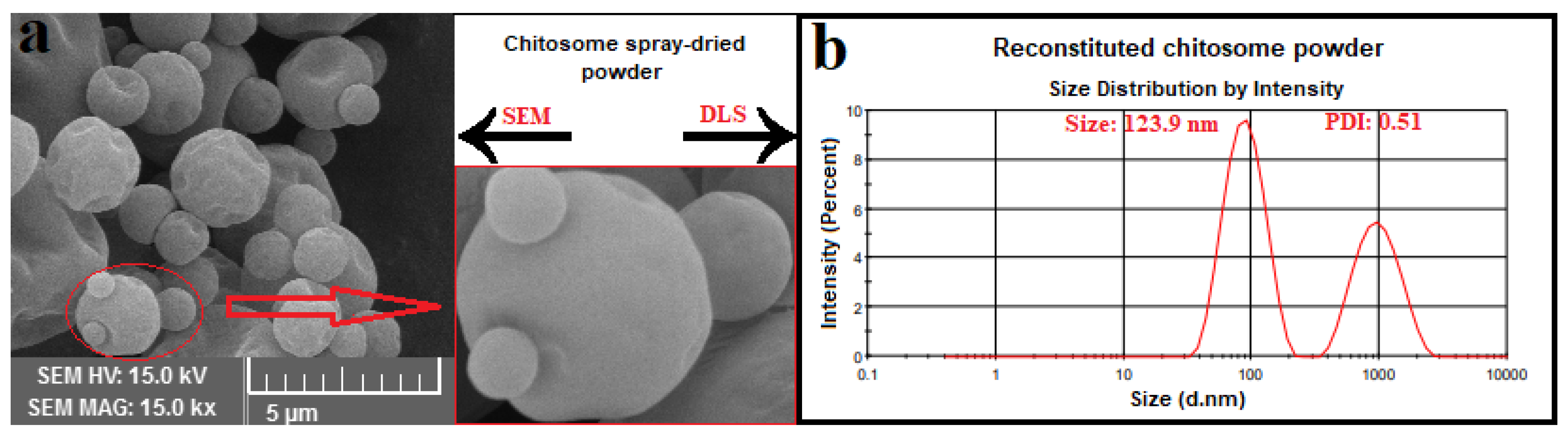 Antioxidants 10 01953 g004
