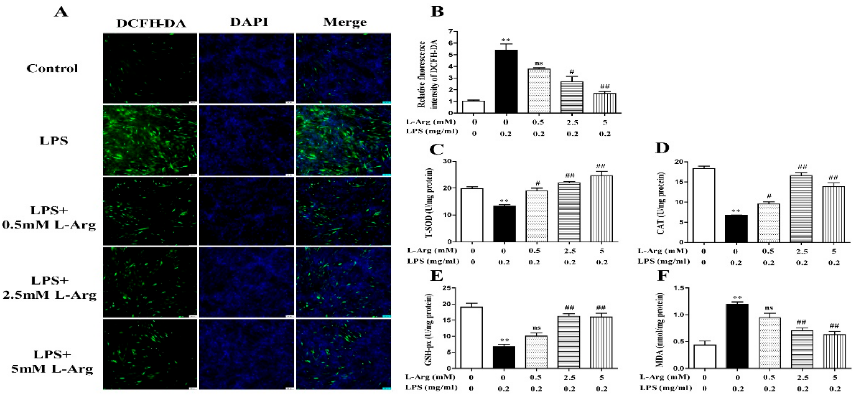 Antioxidants 10 01957 g002