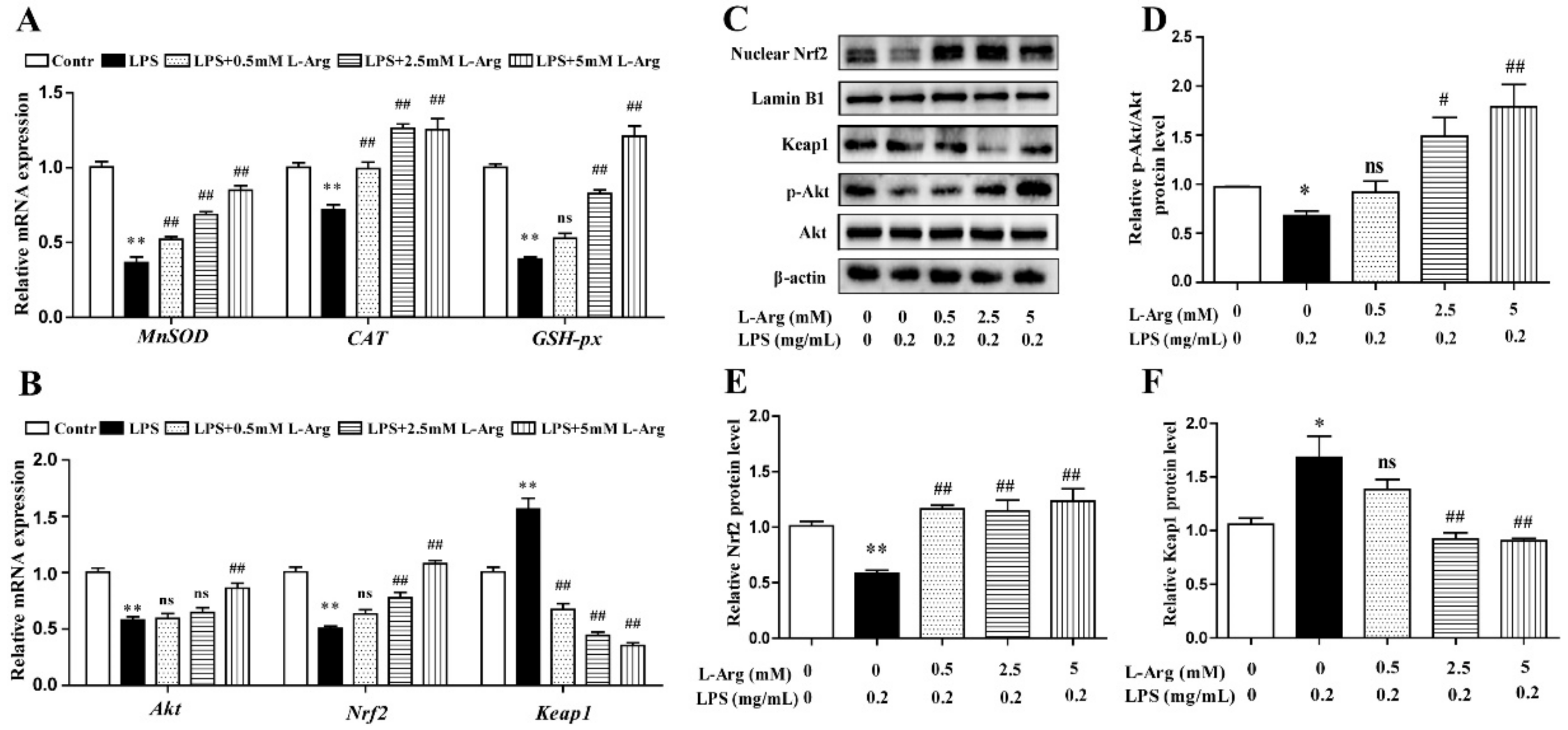 Antioxidants 10 01957 g003