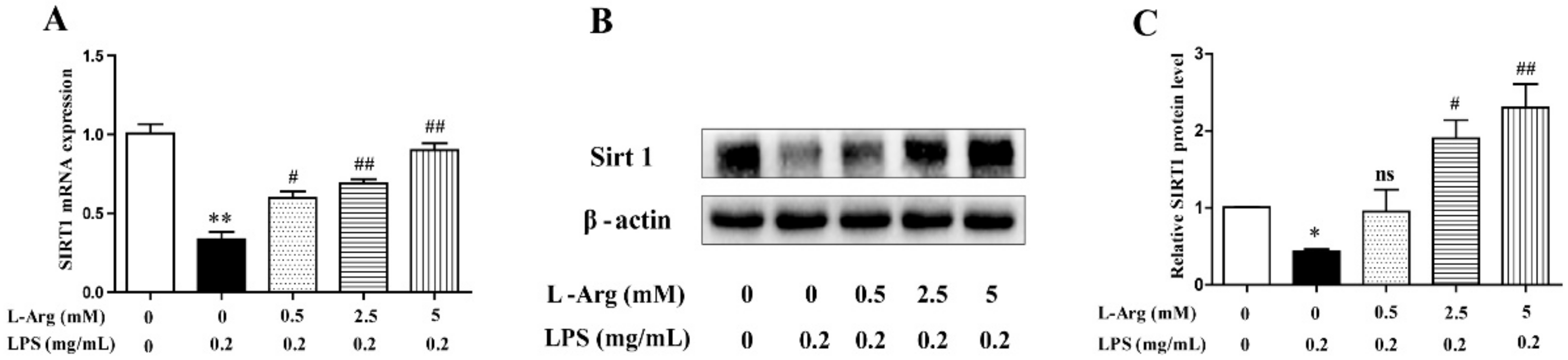 Antioxidants 10 01957 g005