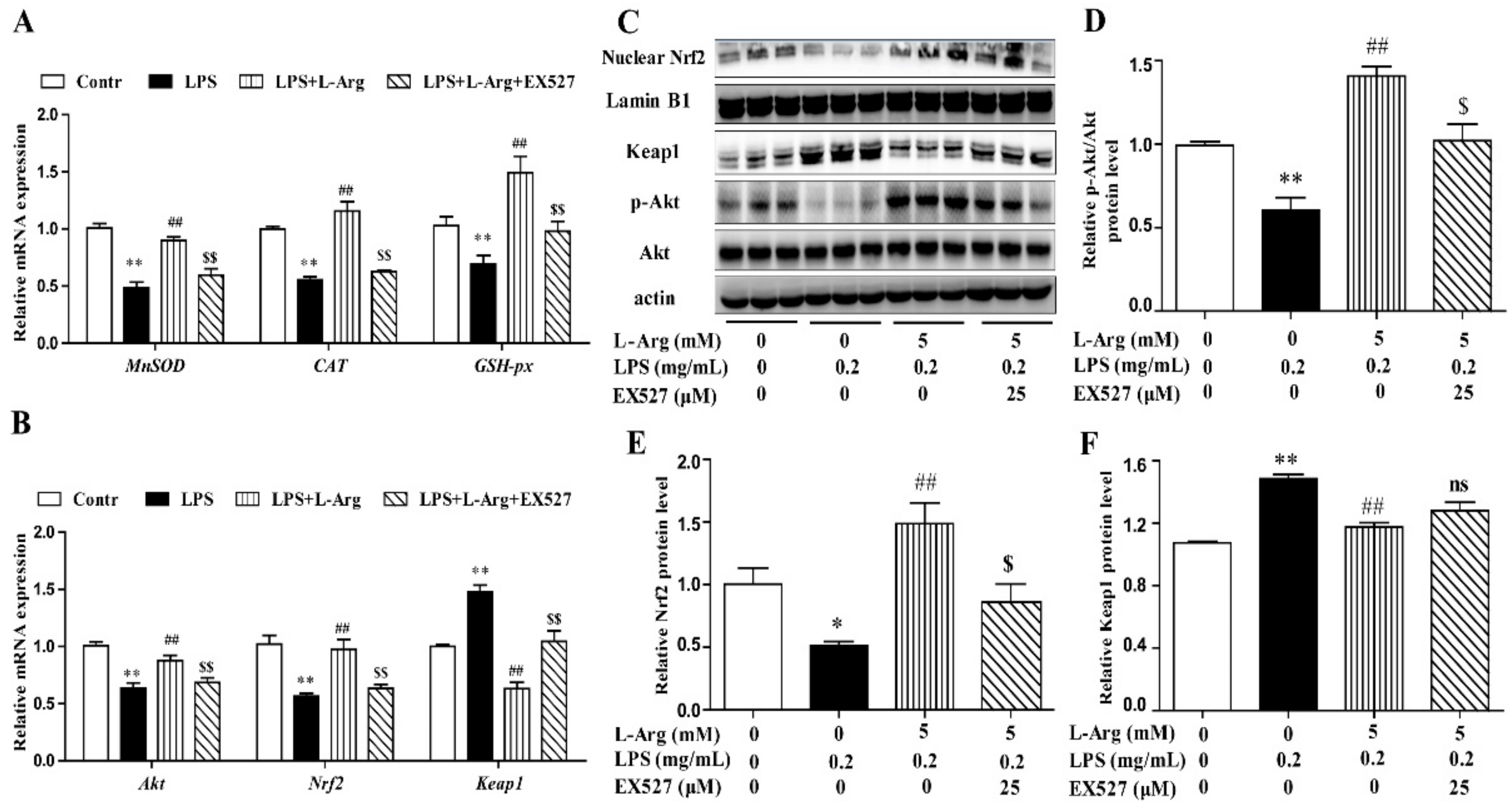 Antioxidants 10 01957 g007