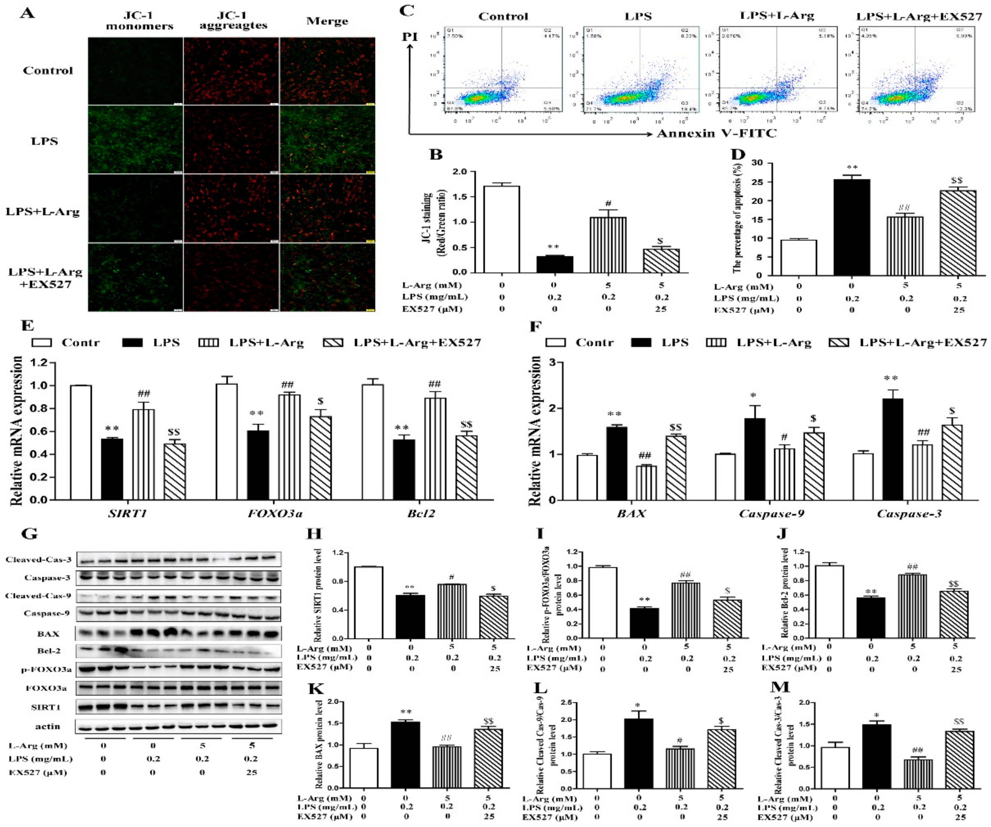 Antioxidants 10 01957 g008