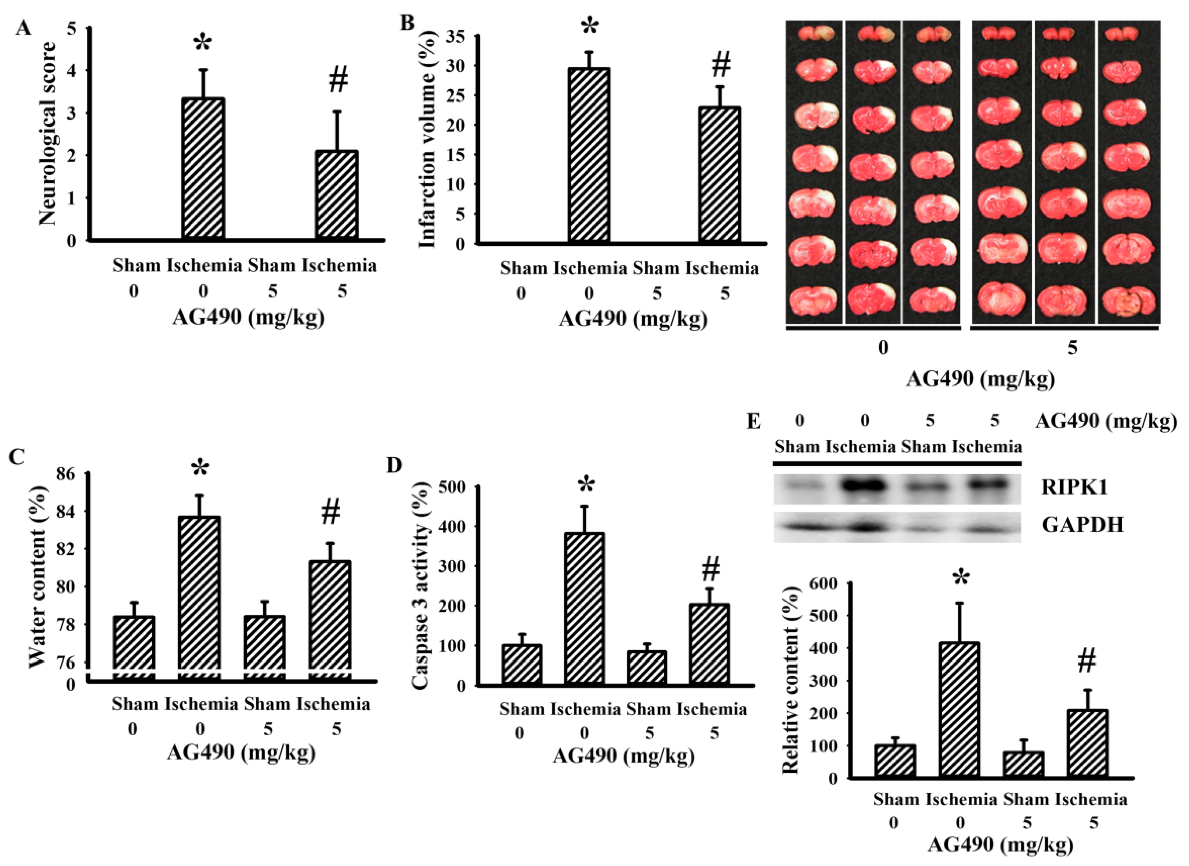 Antioxidants 10 01958 g001