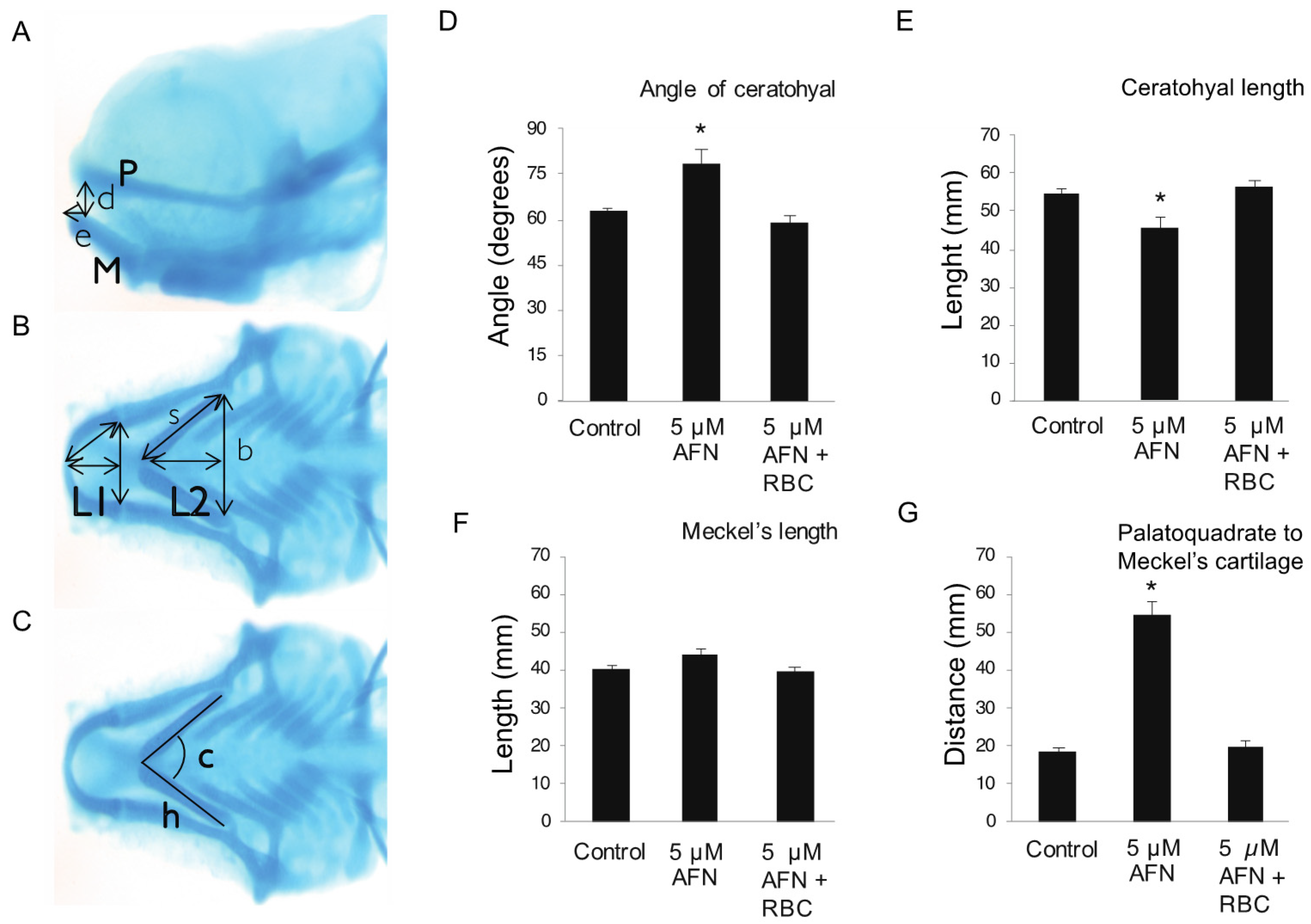 Antioxidants 10 01964 g002 Antioxidants 10 01964 g002