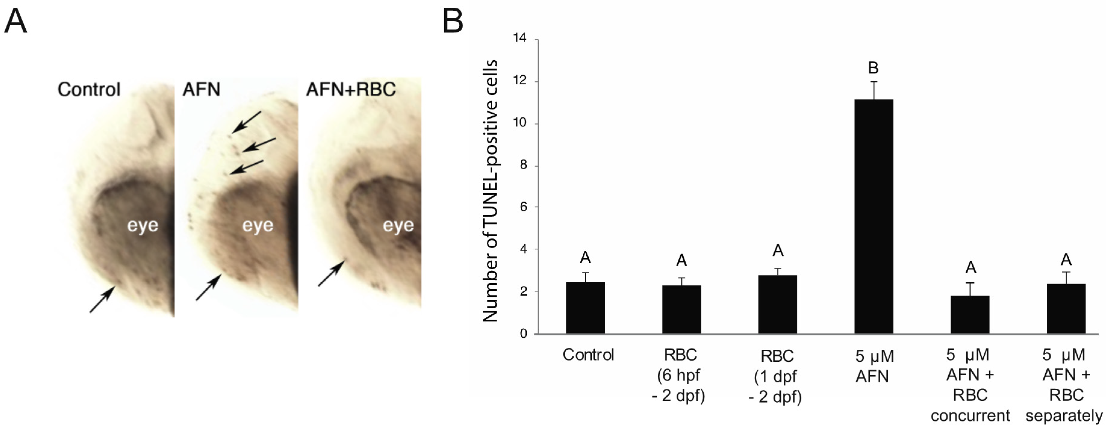 Antioxidants 10 01964 g003 Antioxidants 10 01964 g003