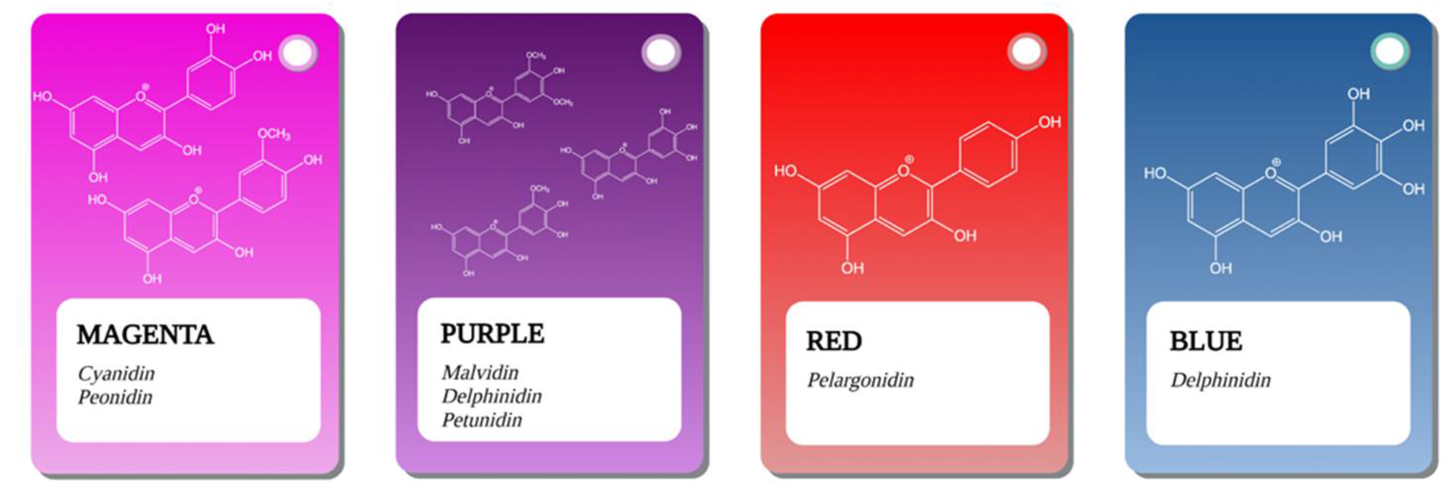 Antioxidants 10 01967 g001