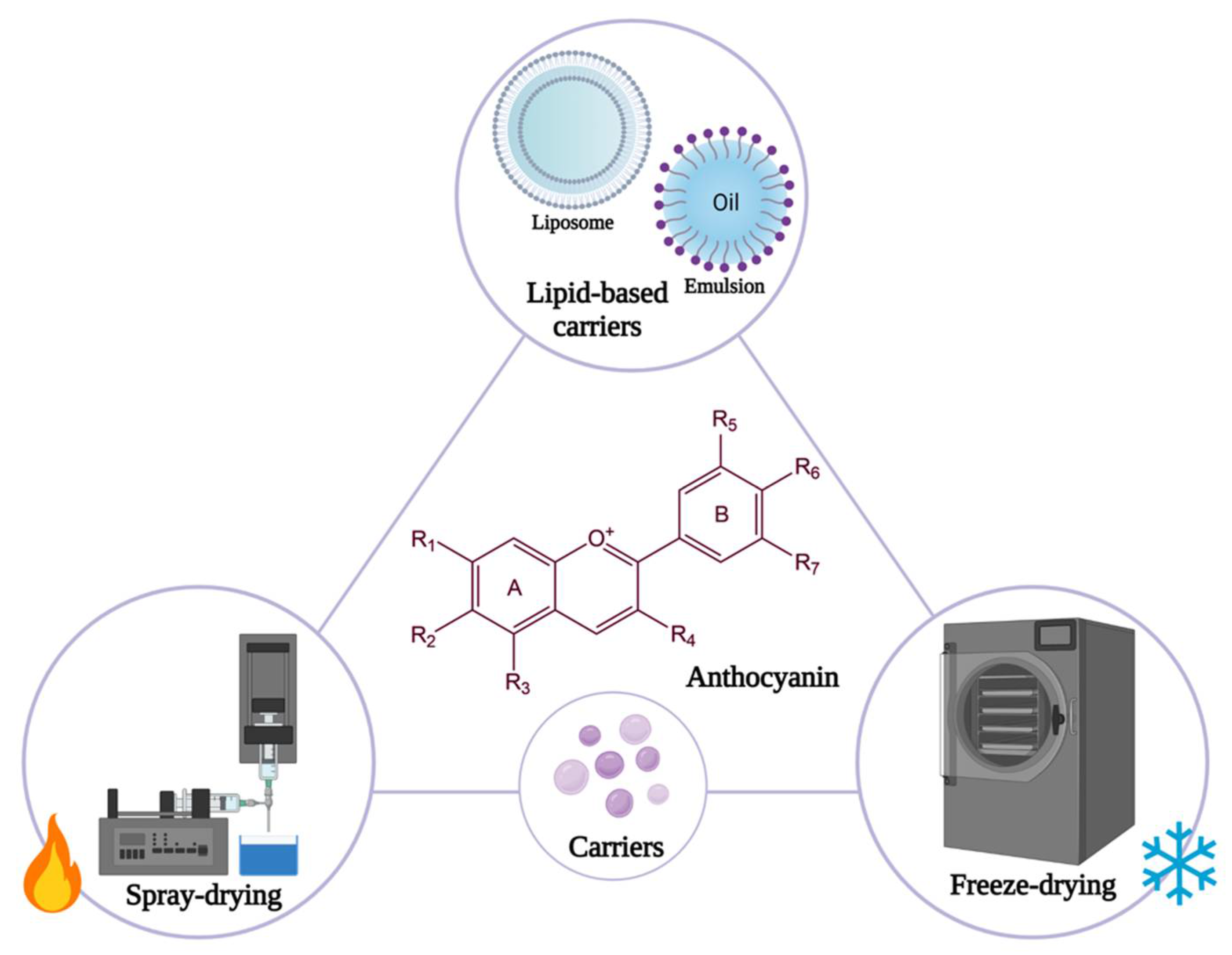 Antioxidants 10 01967 g007