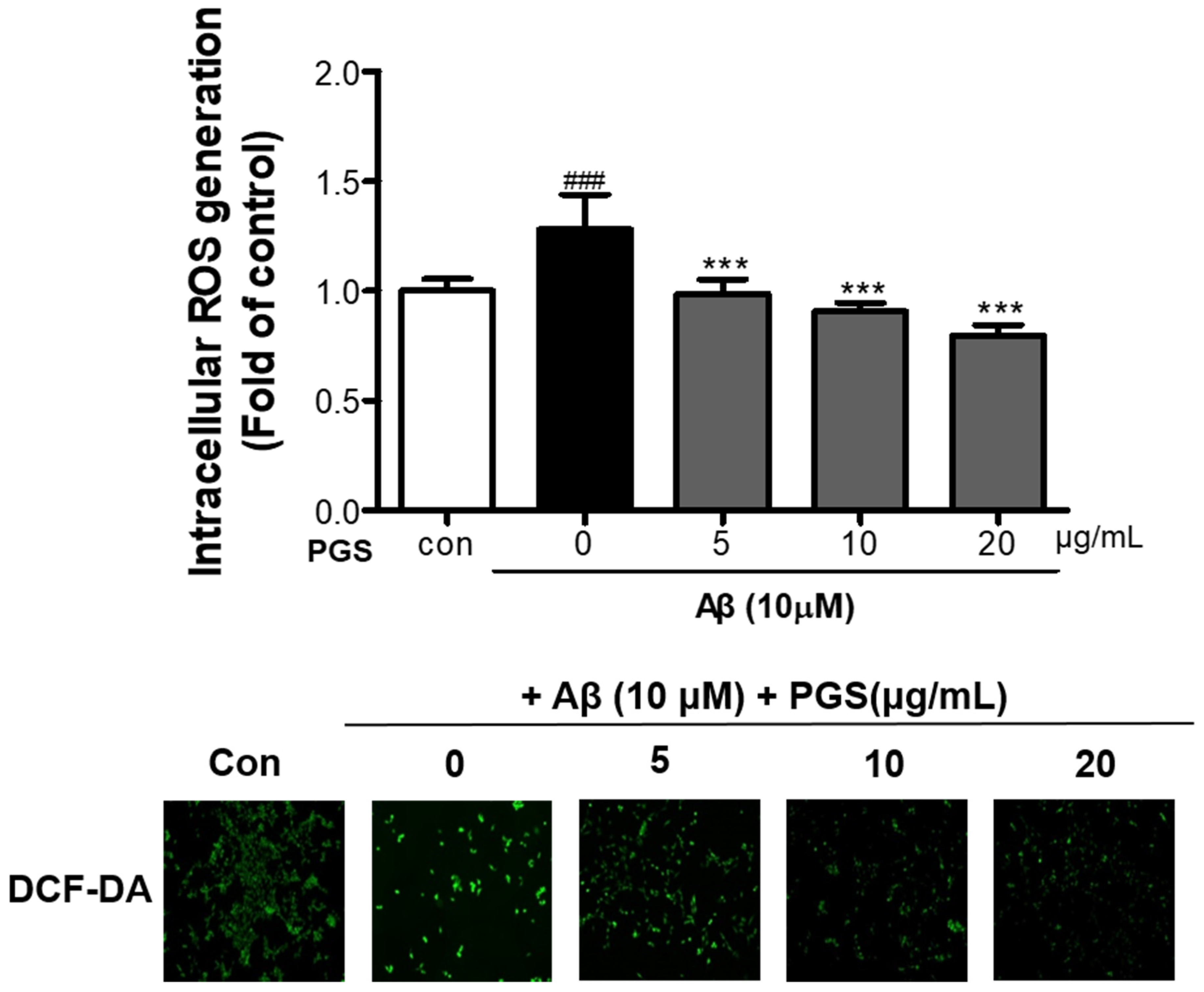 Antioxidants 10 01968 g003