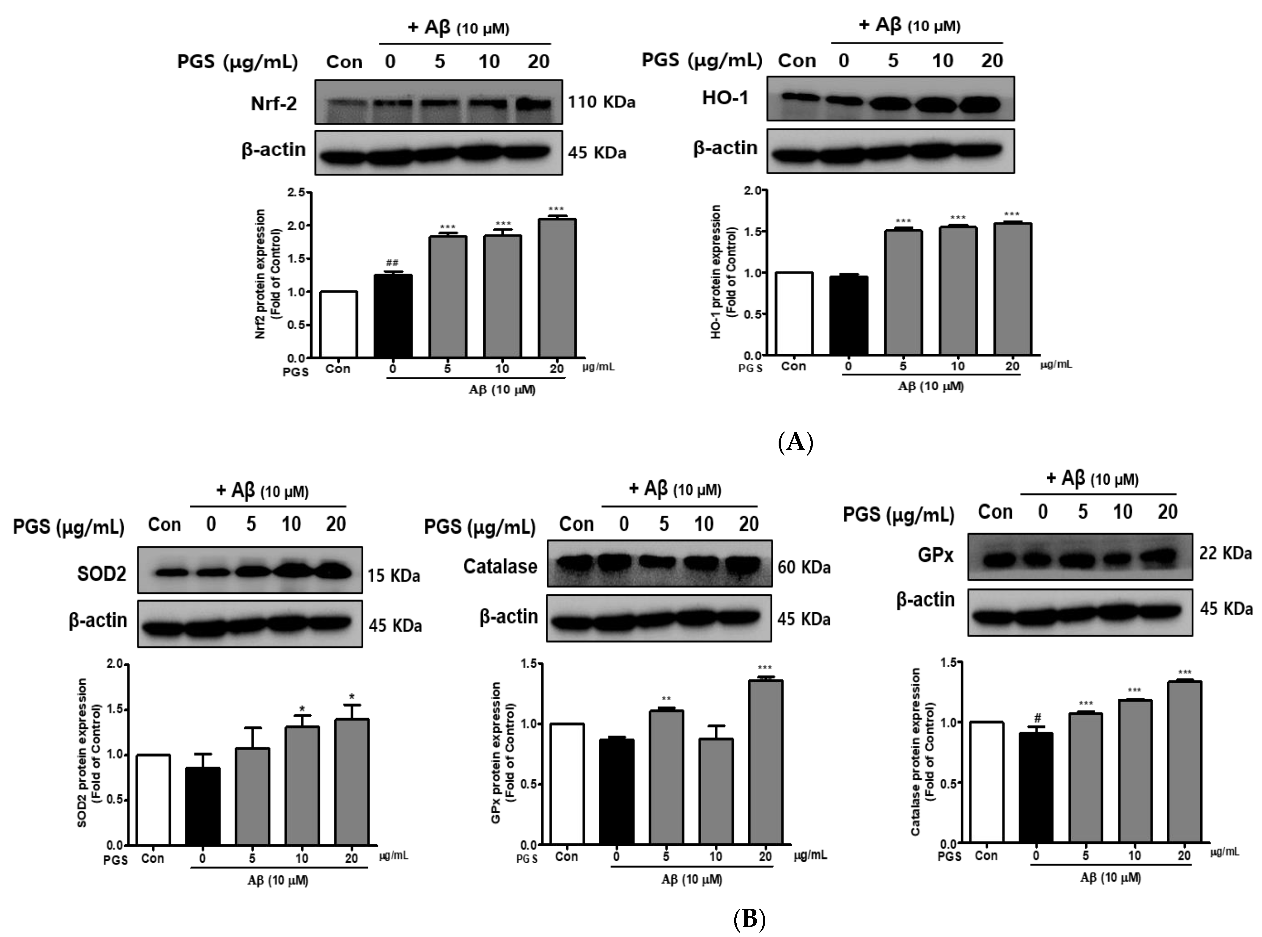 Antioxidants 10 01968 g004