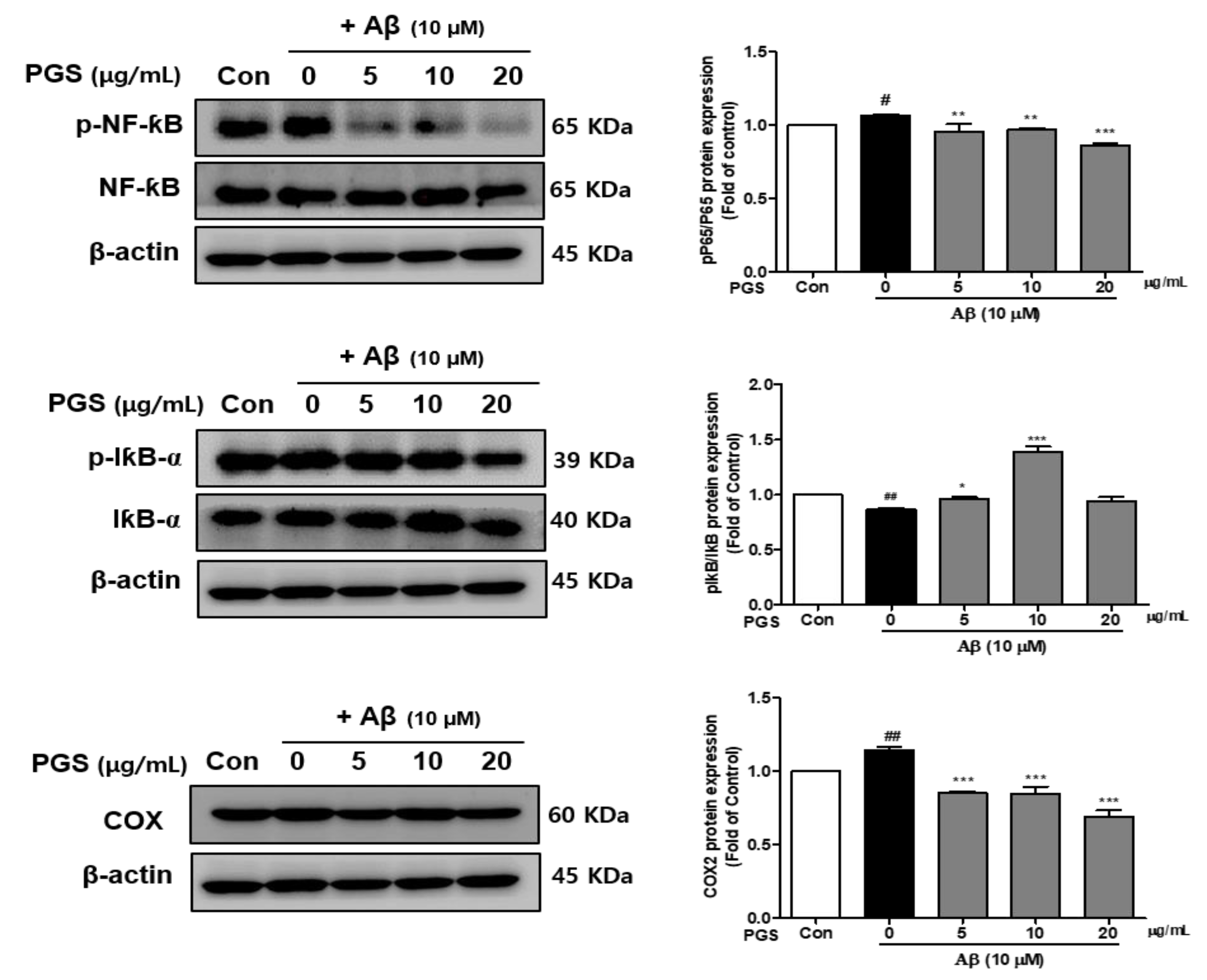Antioxidants 10 01968 g005