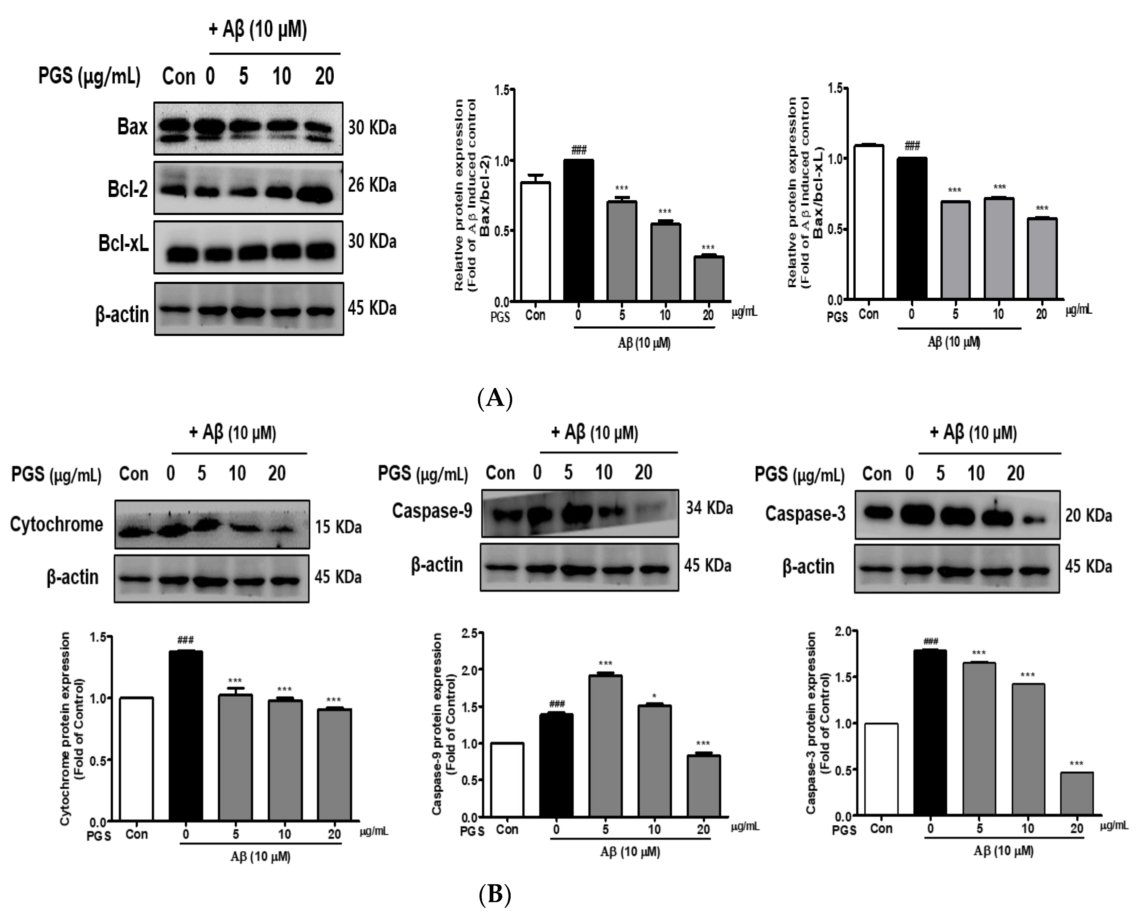 Antioxidants 10 01968 g006