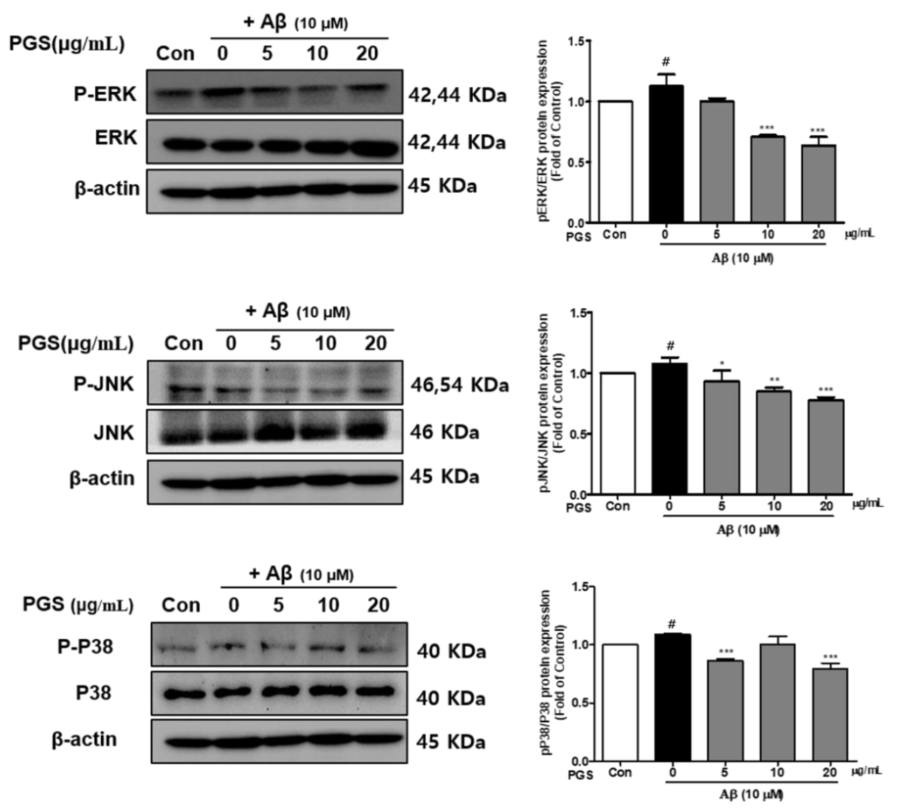 Antioxidants 10 01968 g007