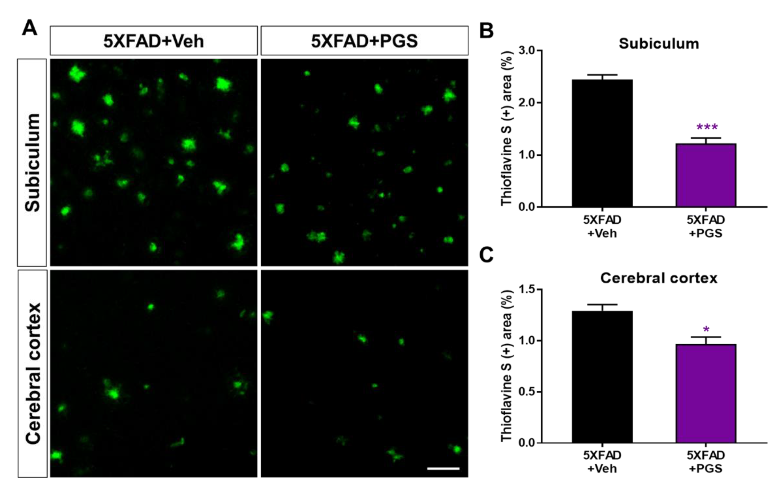 Antioxidants 10 01968 g008