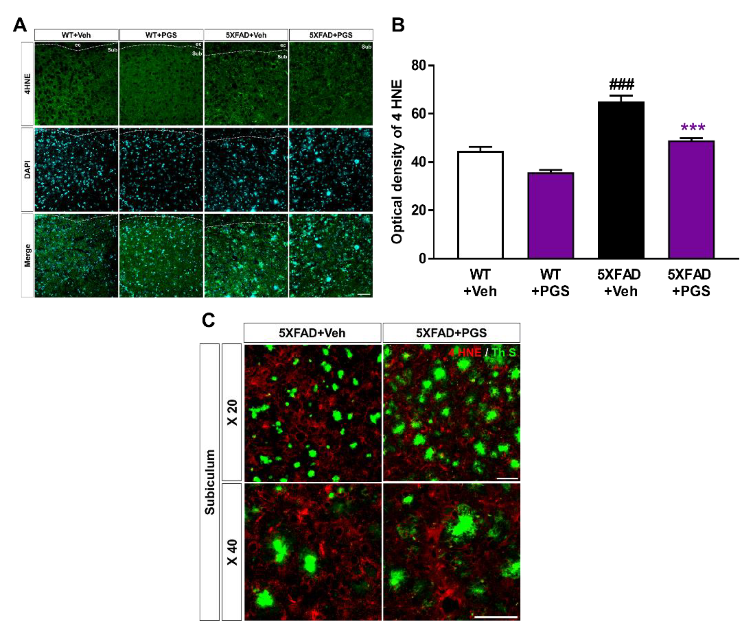 Antioxidants 10 01968 g009