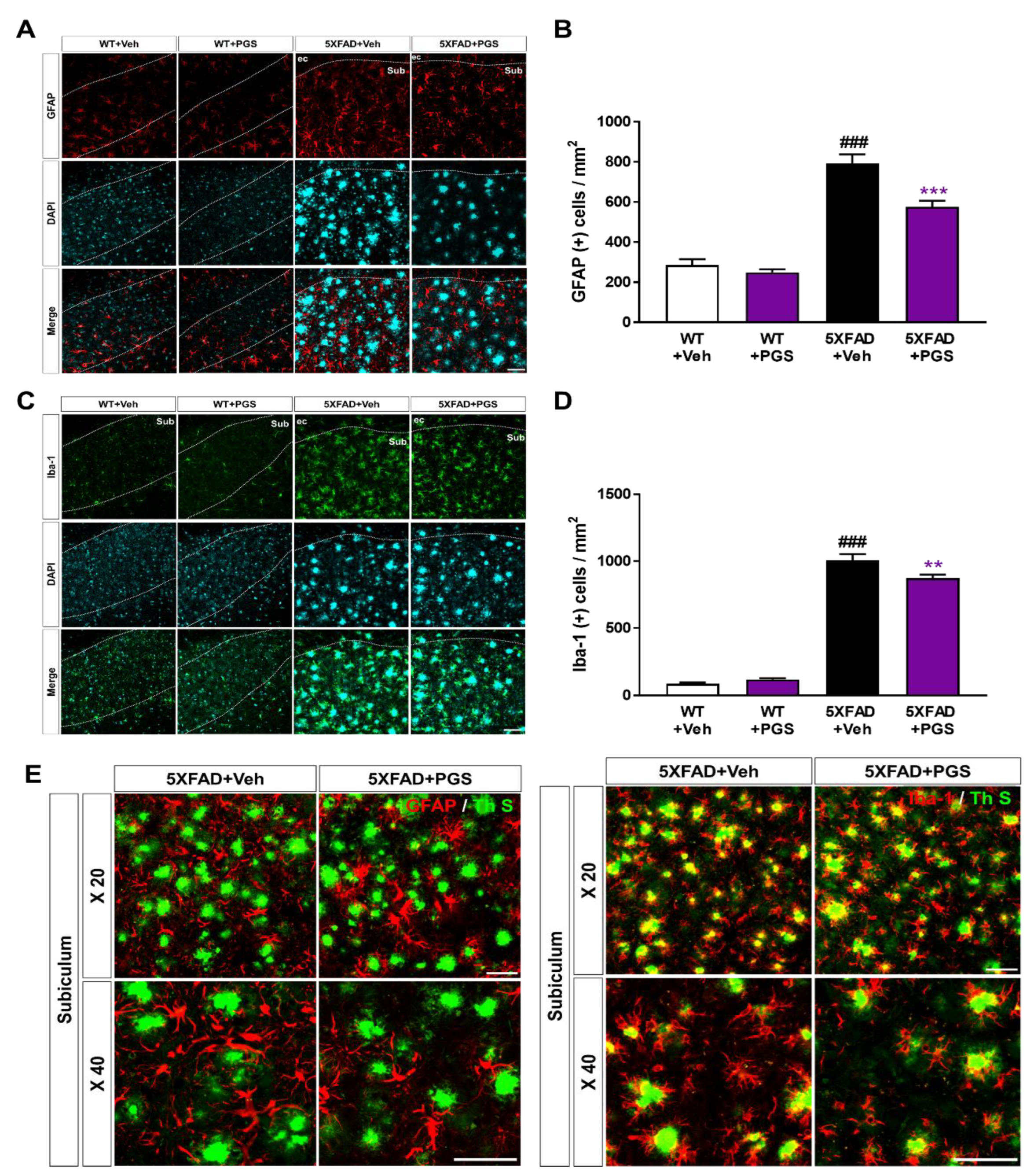 Antioxidants 10 01968 g010