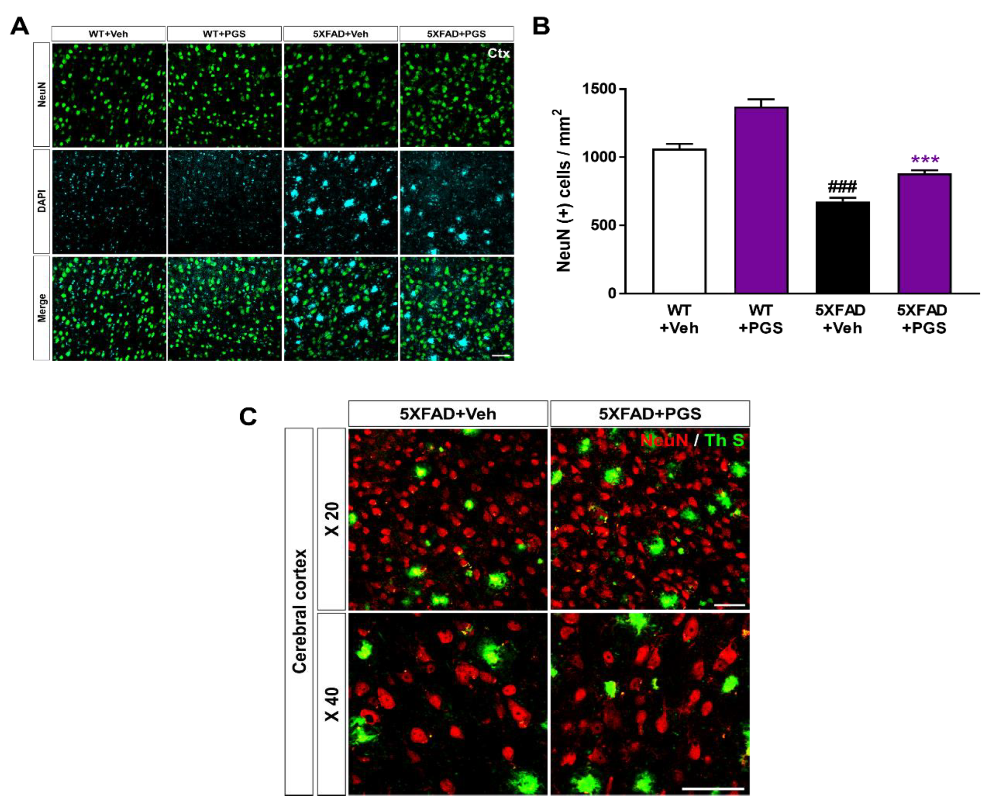Antioxidants 10 01968 g011