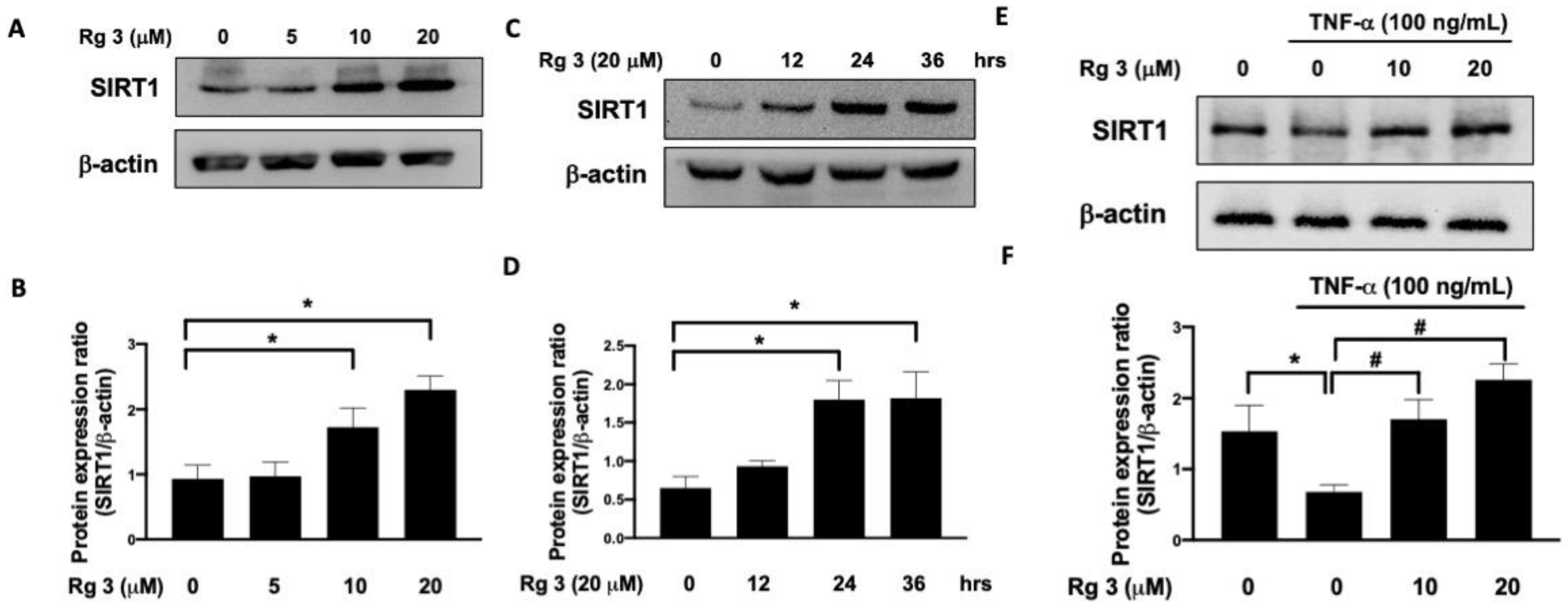 Antioxidants 10 01972 g001