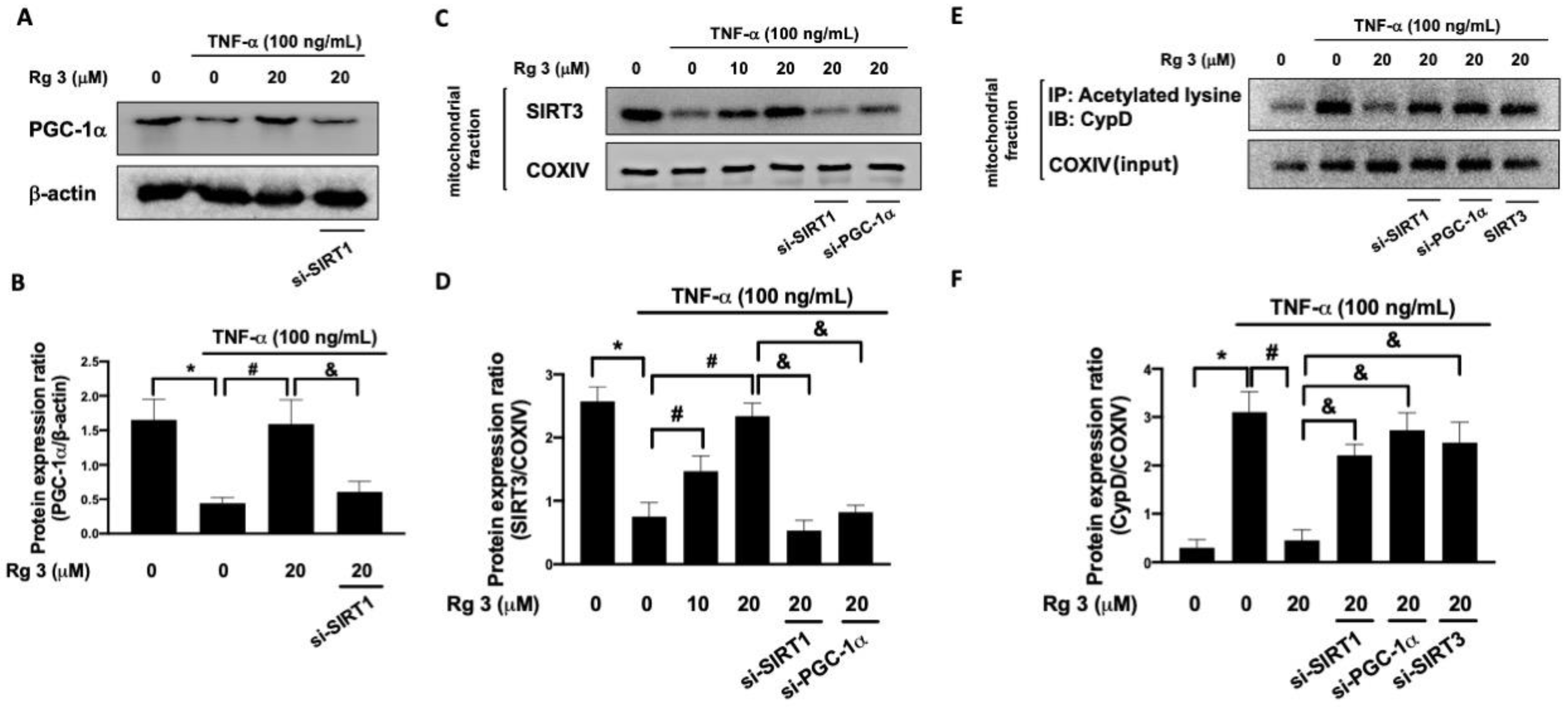 Antioxidants 10 01972 g002