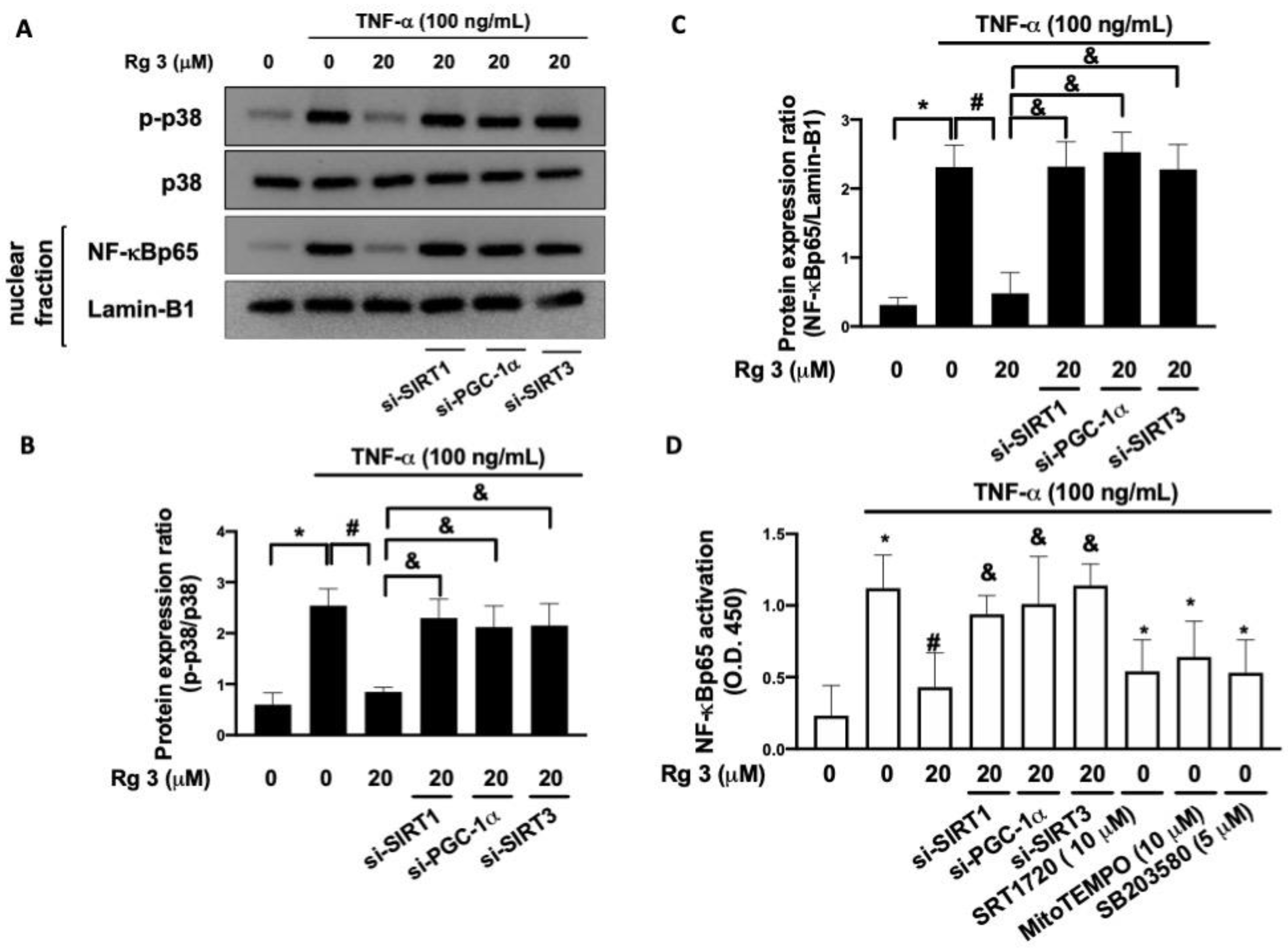 Antioxidants 10 01972 g005