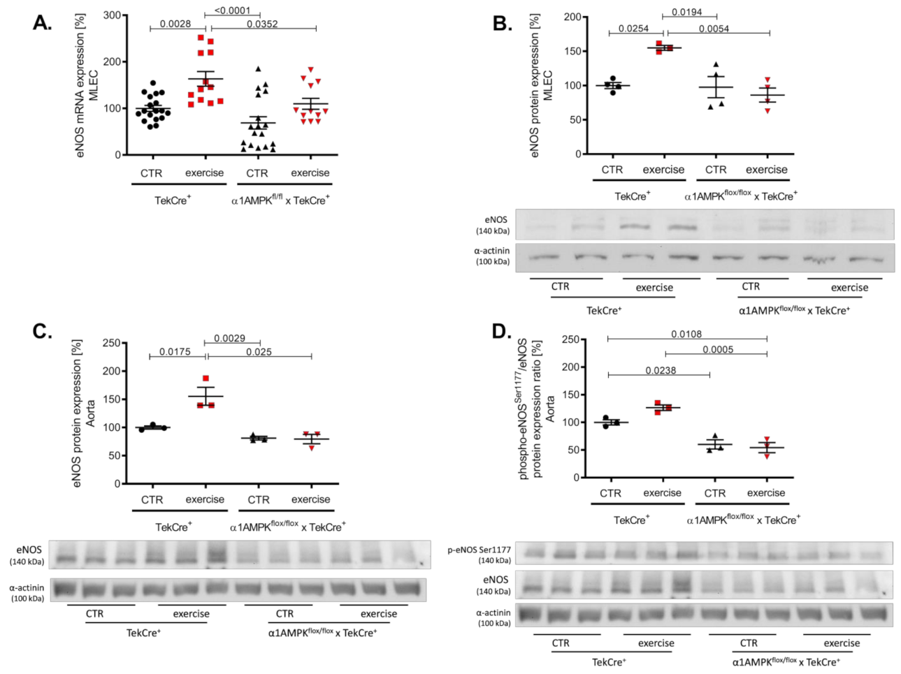 Antioxidants 10 01974 g003