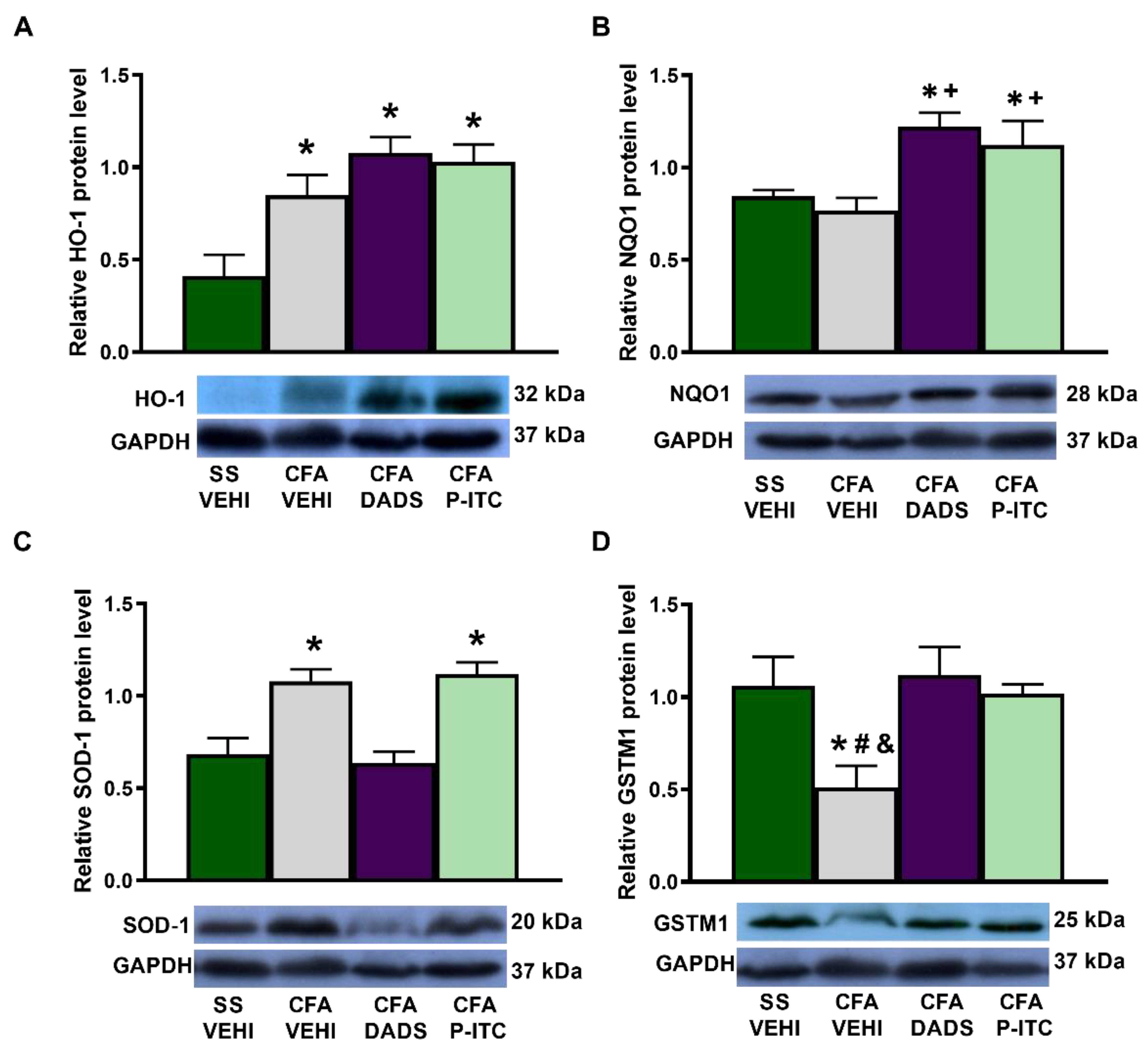 Antioxidants 10 01977 g005