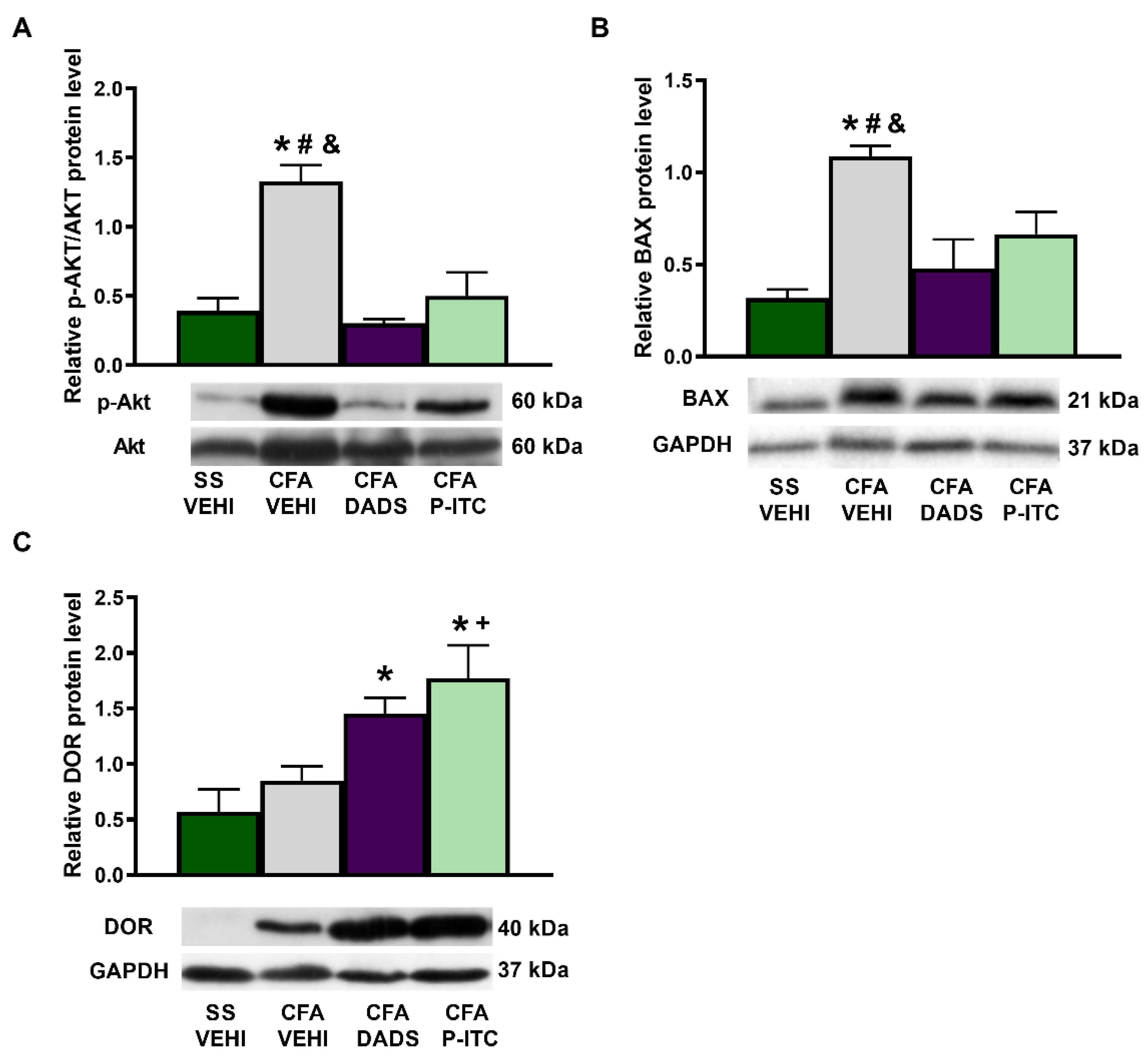 Antioxidants 10 01977 g006