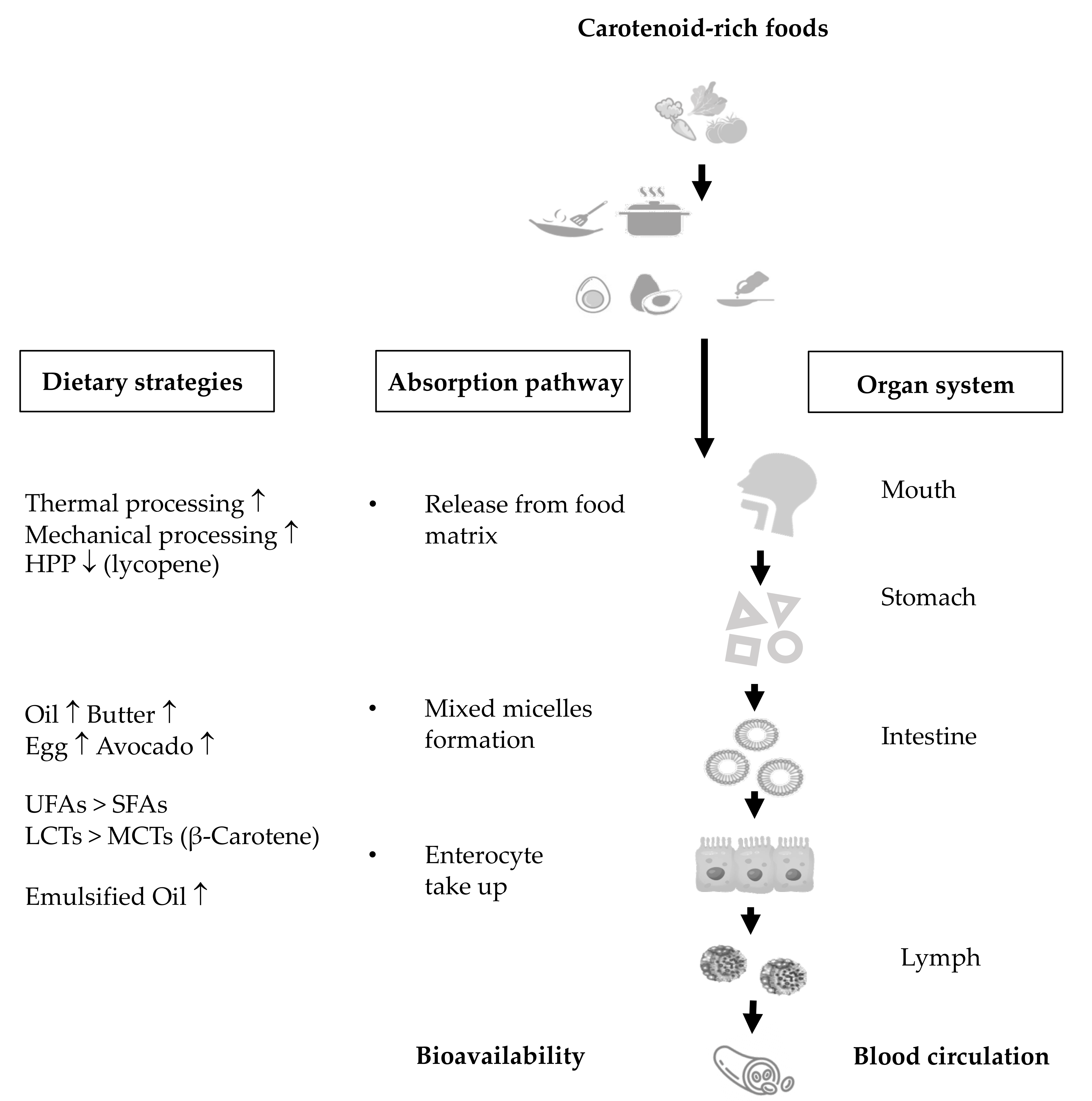 Antioxidants 10 01978 sch002