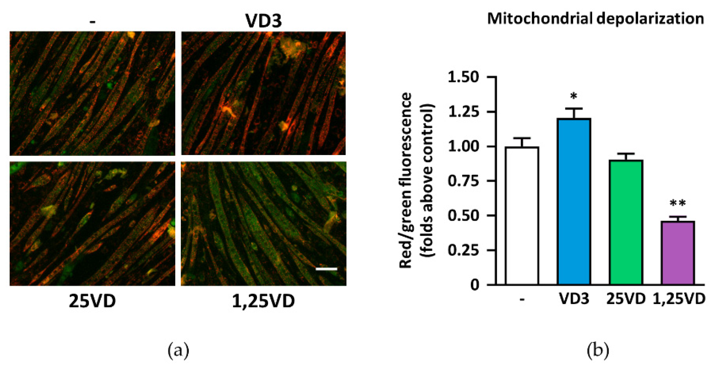 Antioxidants 10 01980 g001