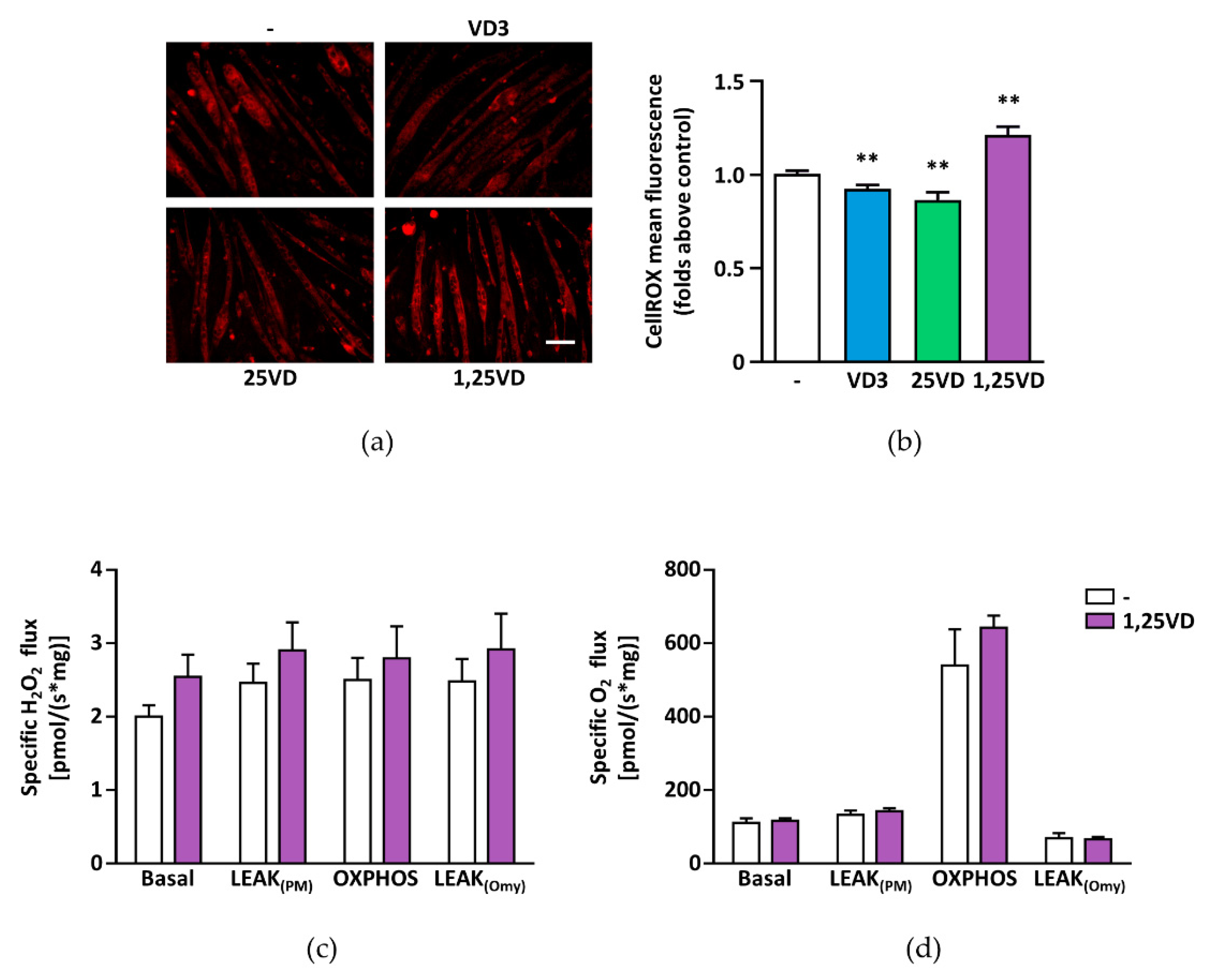 Antioxidants 10 01980 g006
