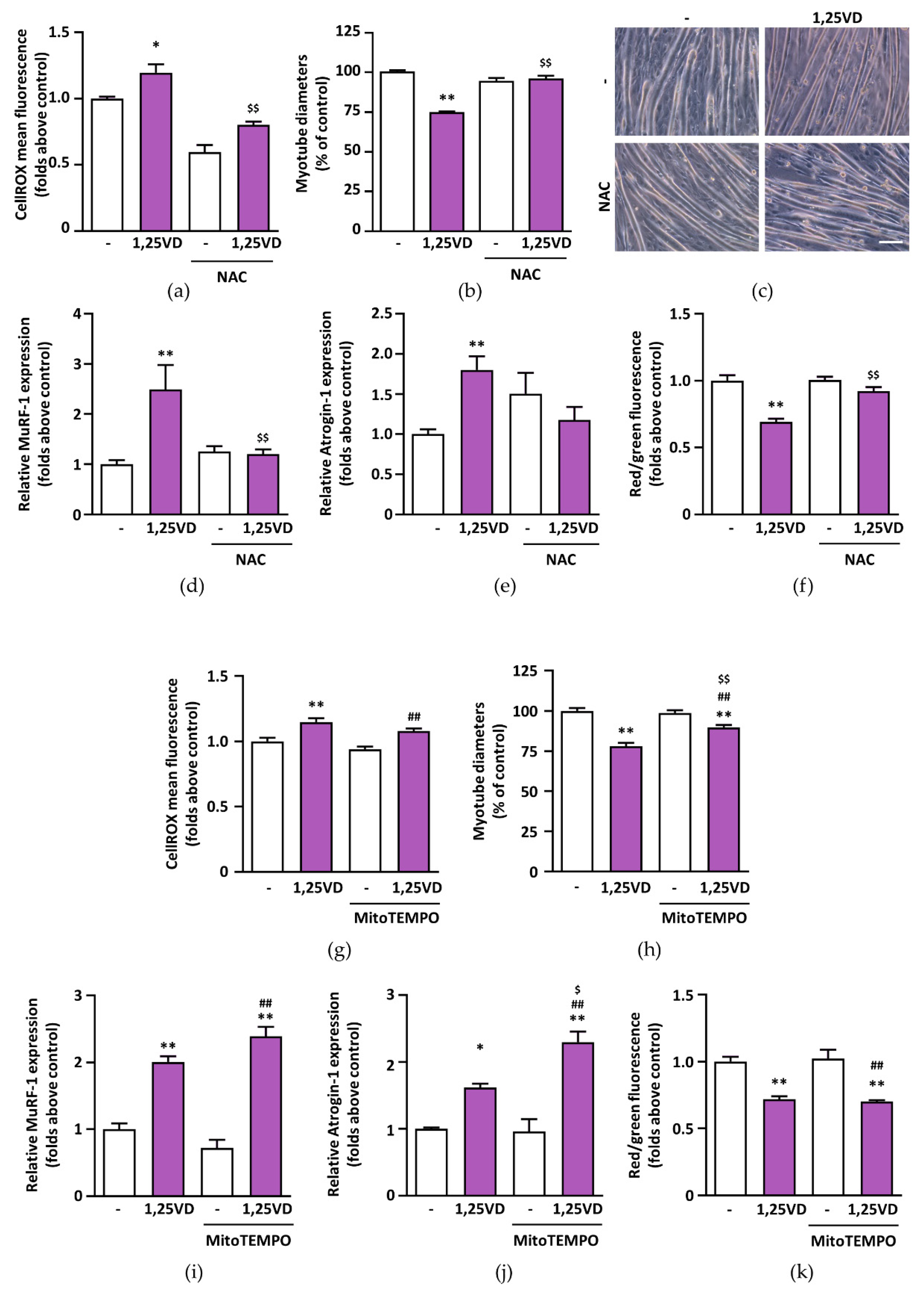 Antioxidants 10 01980 g007