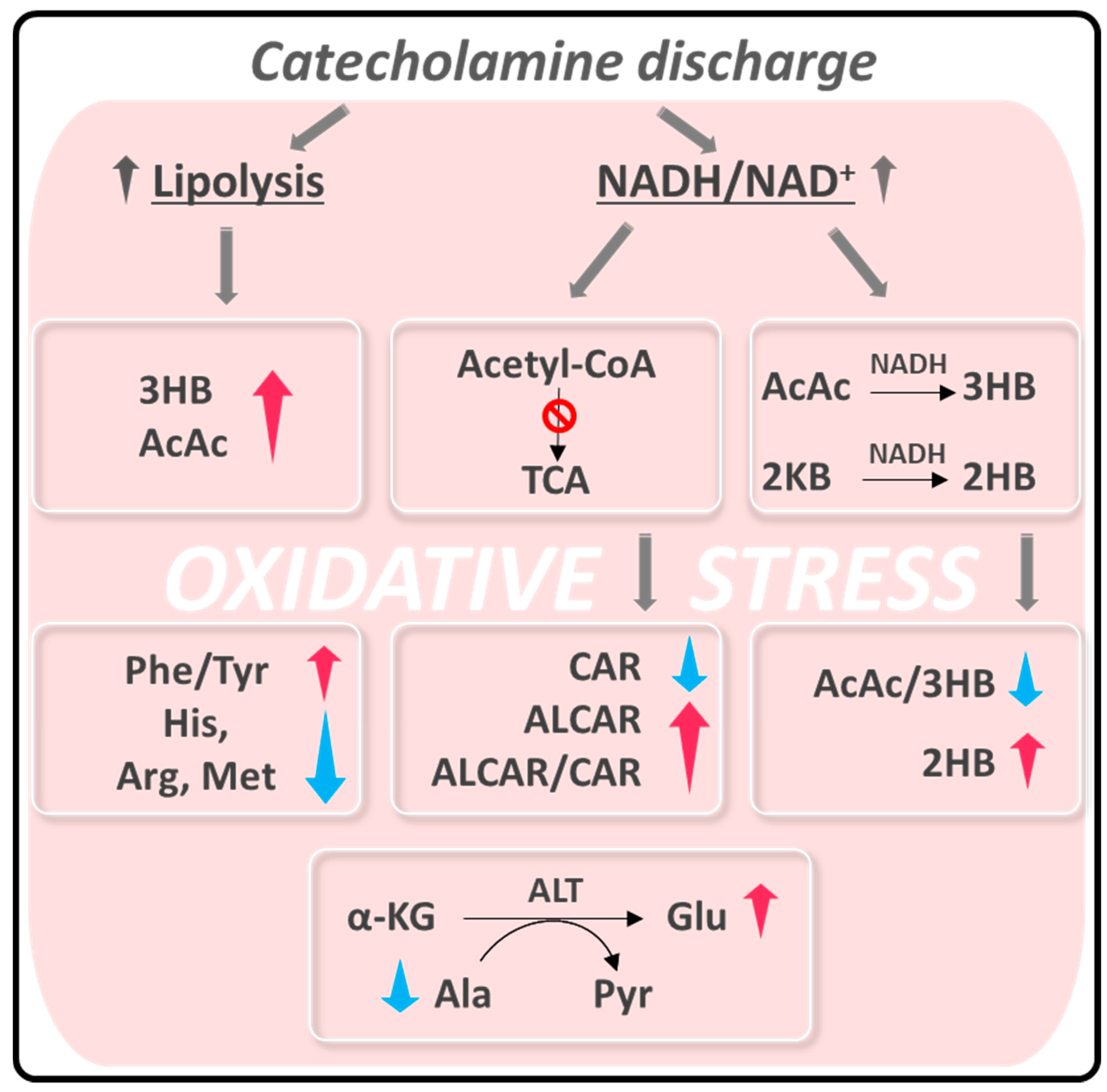 Antioxidants 10 01982 sch001