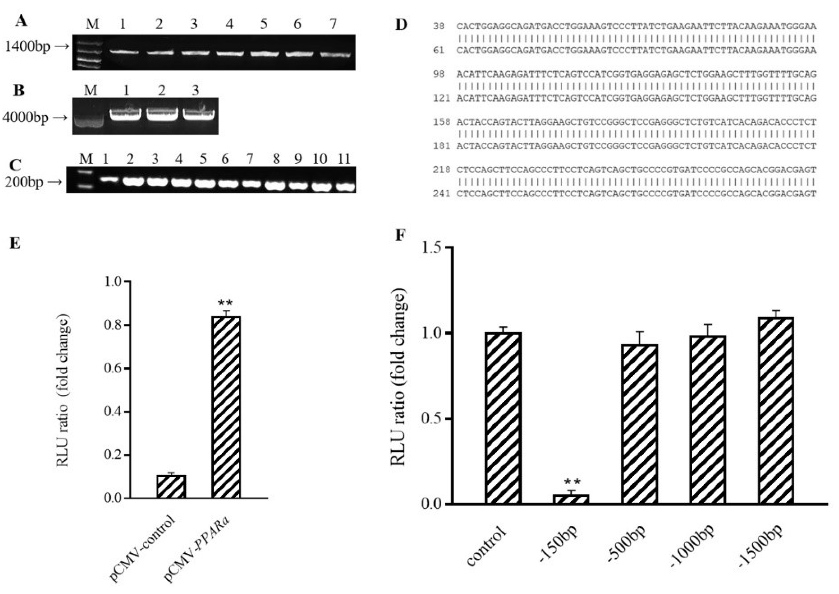 Antioxidants 10 01986 g005