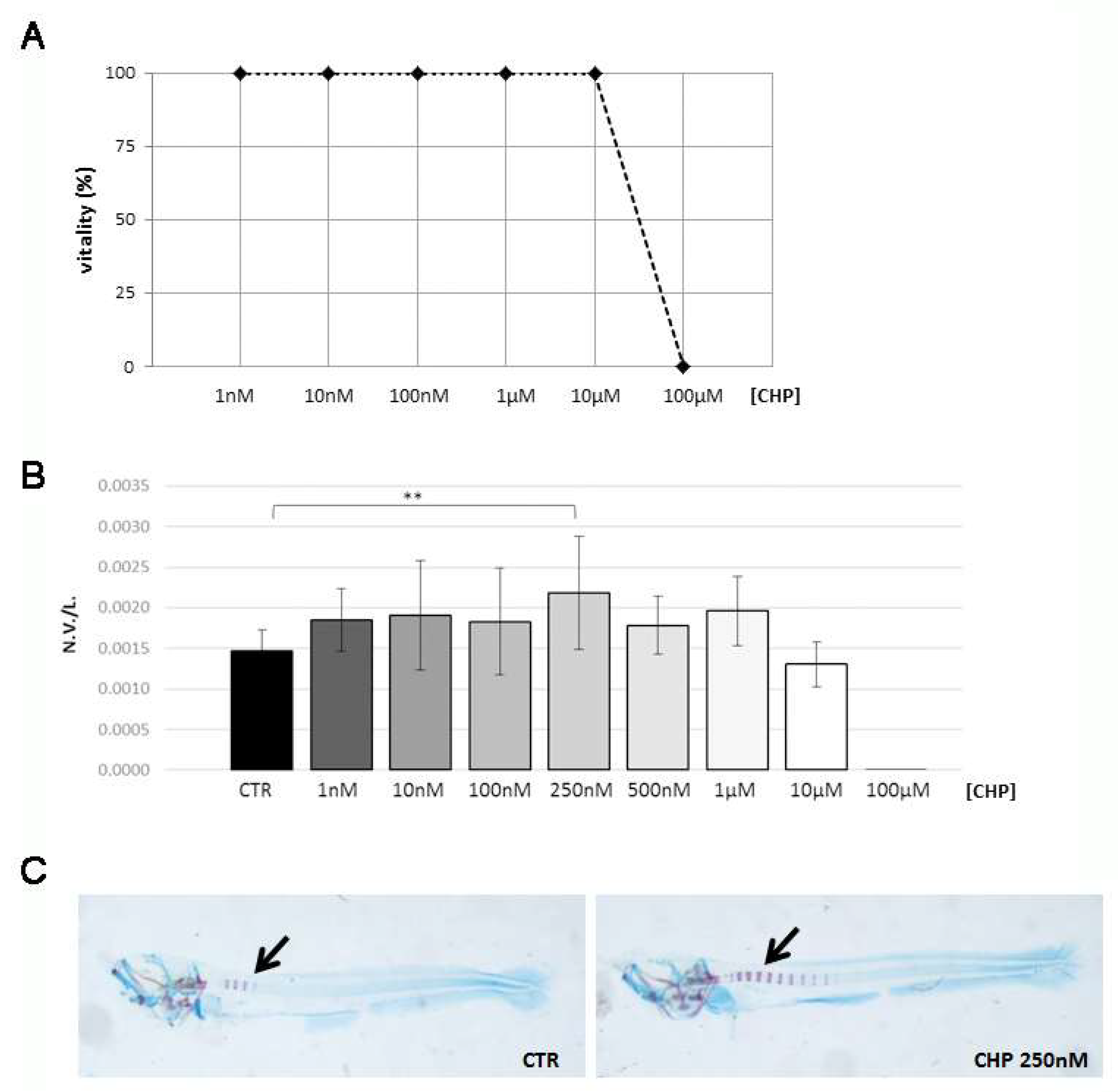 Antioxidants 10 01987 g001