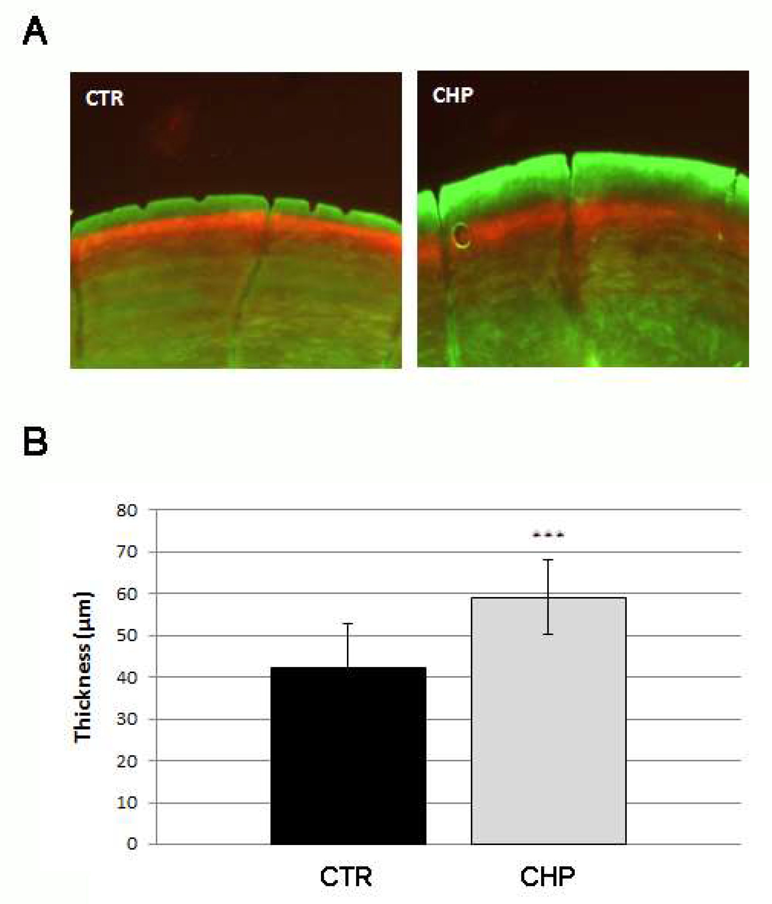 Antioxidants 10 01987 g002