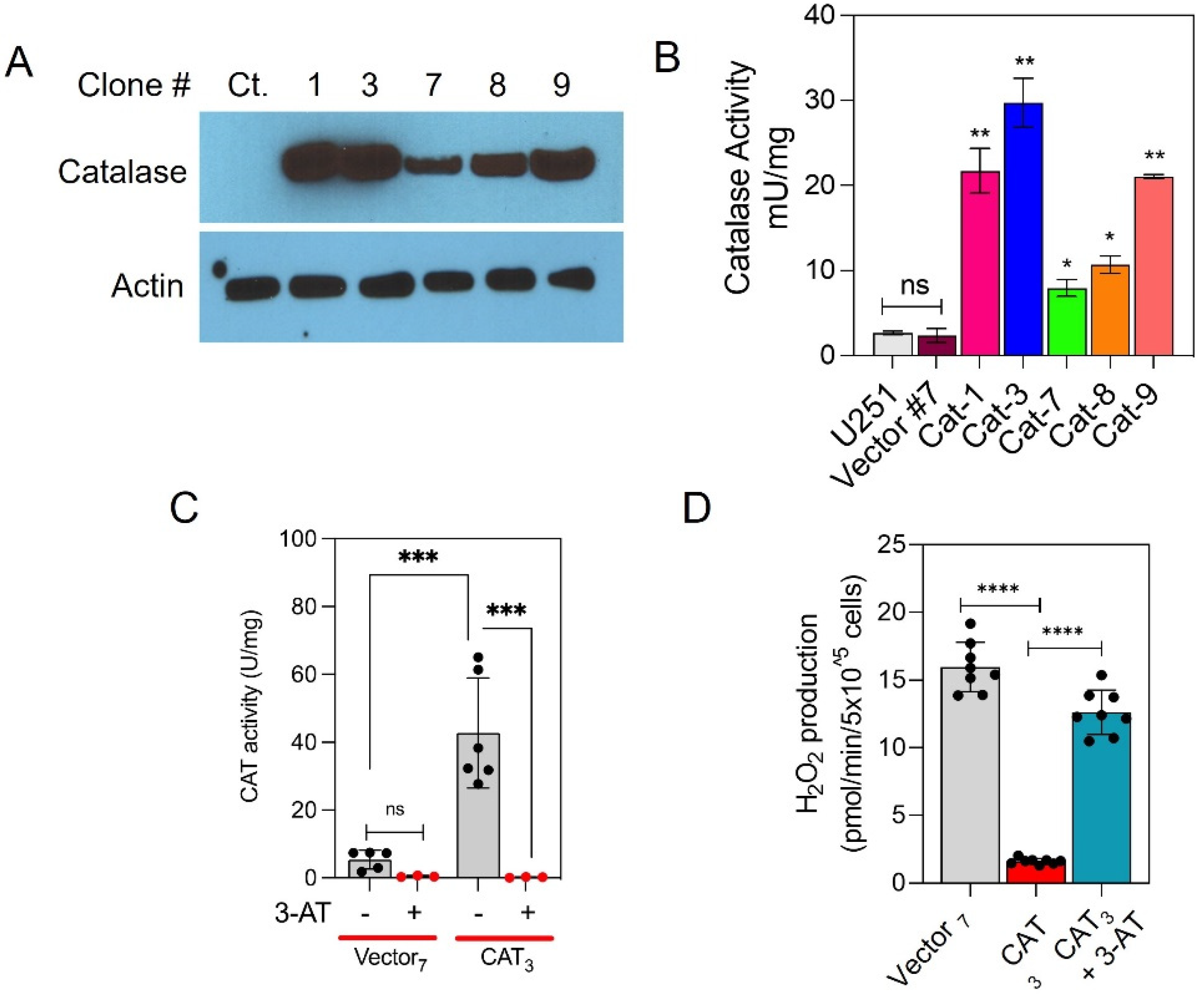 Antioxidants 10 01988 g002