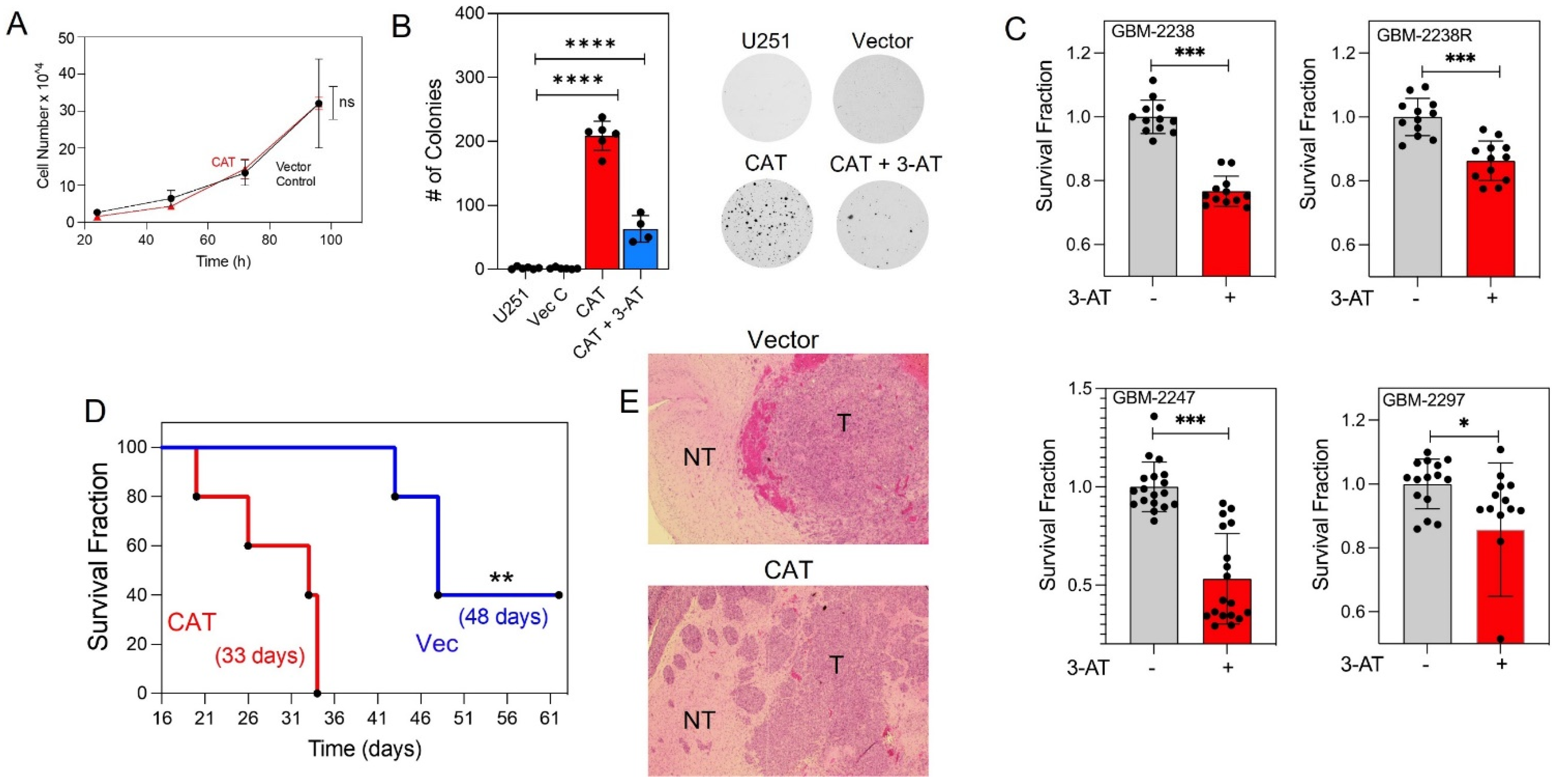 Antioxidants 10 01988 g003